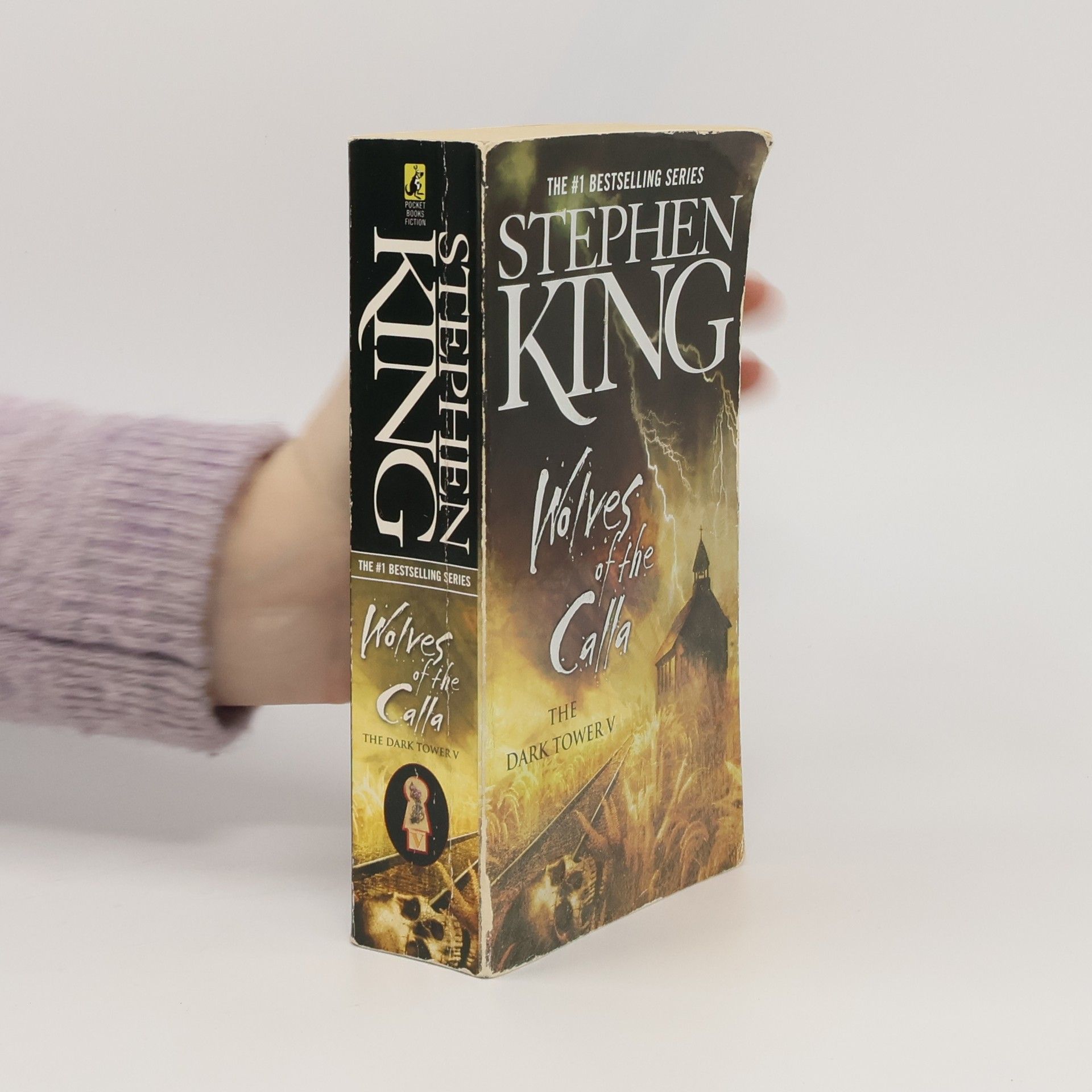 Stephen King Wolves of the Calla