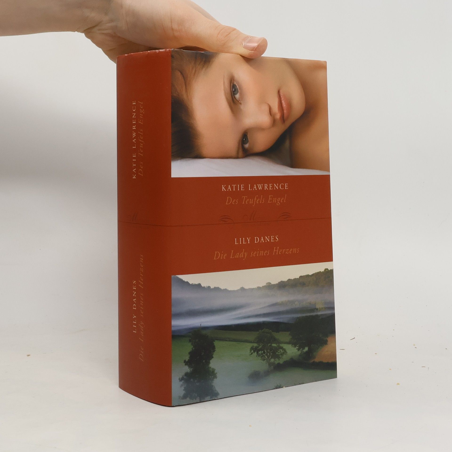 Des Teufels Engel. Die Lady seines Herzens 