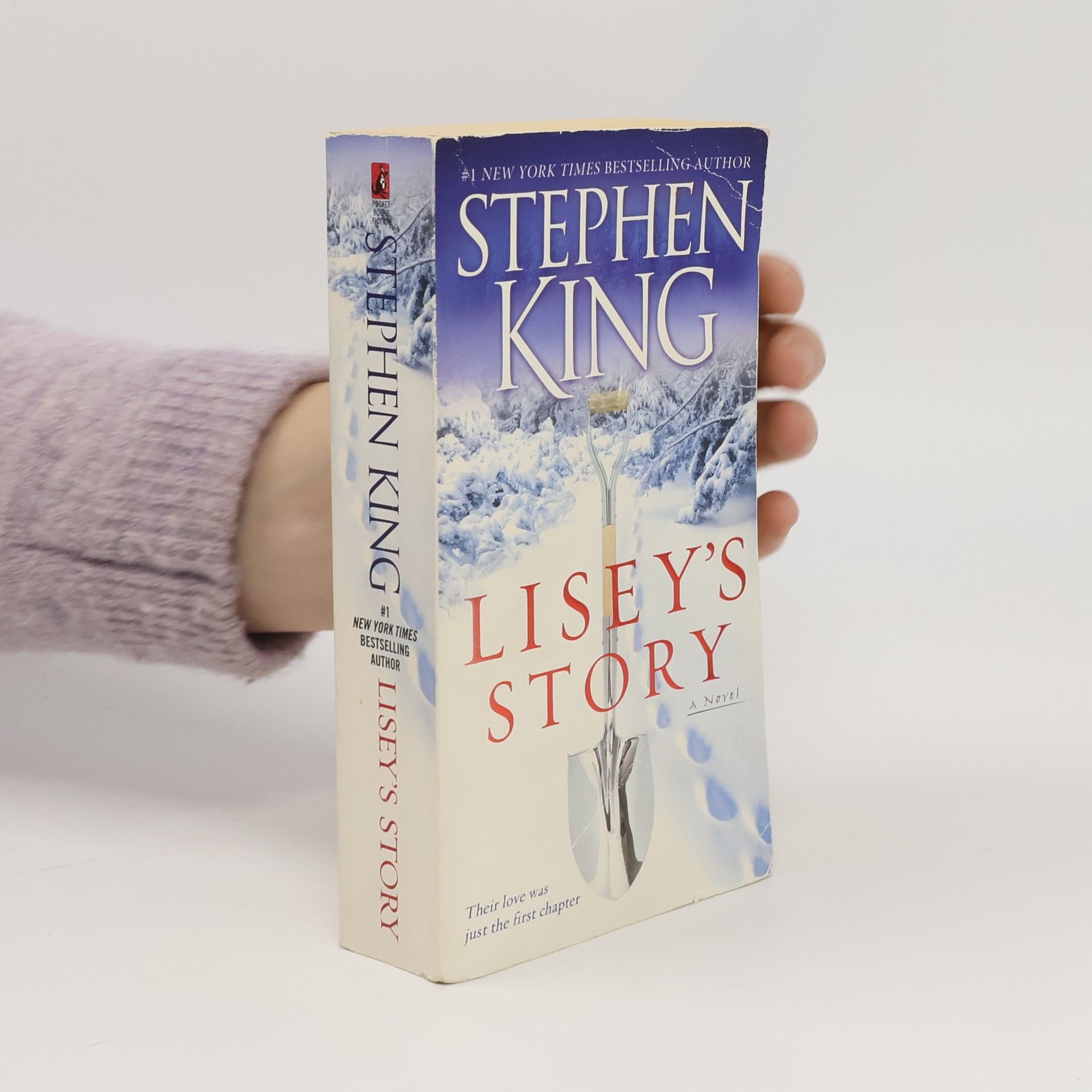 Stephen King Lisey's Story