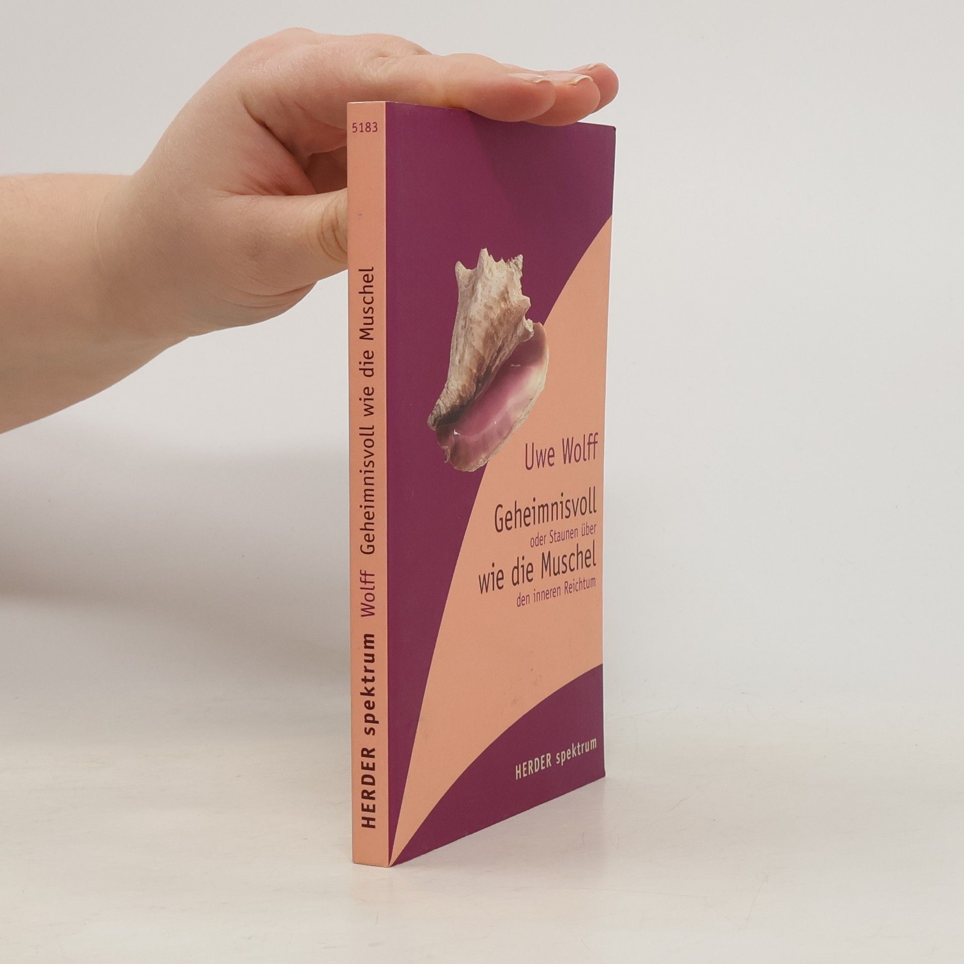 Geheimnisvoll wie die Muschel oder Staunen über den inneren Reichtum