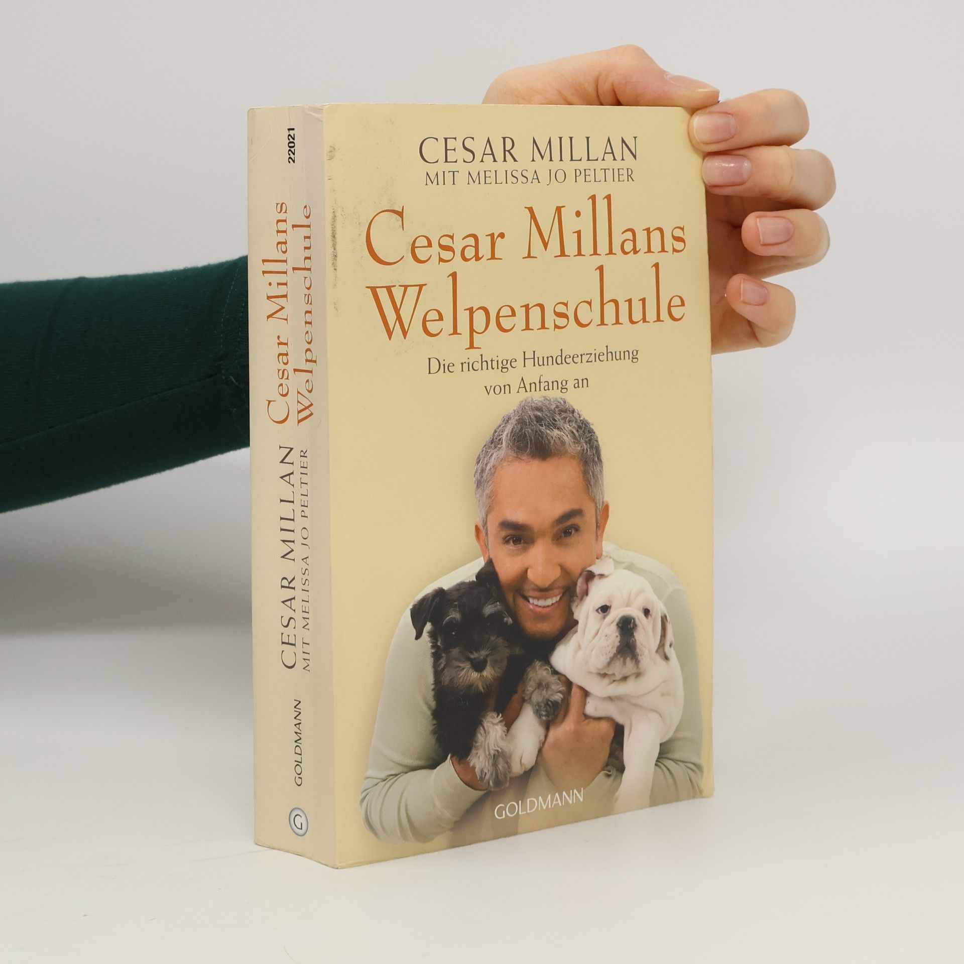 Cesar Millan Cesar Millans Welpenschule