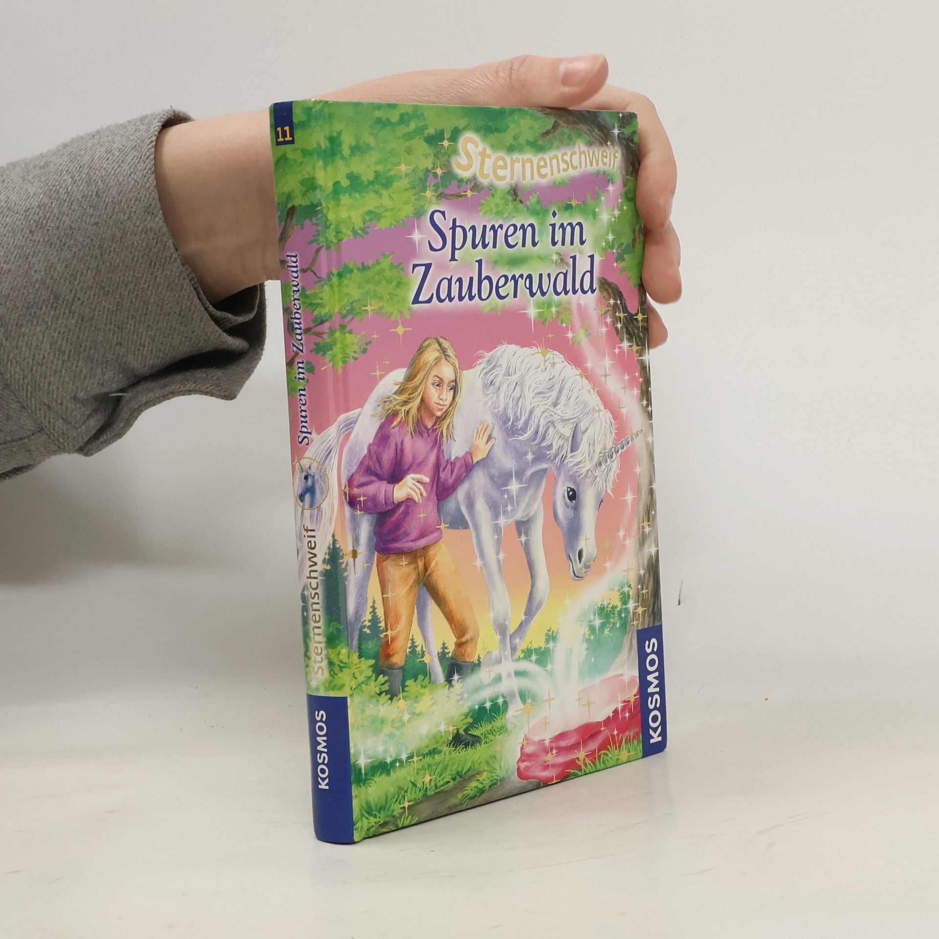 Linda Chapman Sternenschweif. Spuren im Zauberwald 11