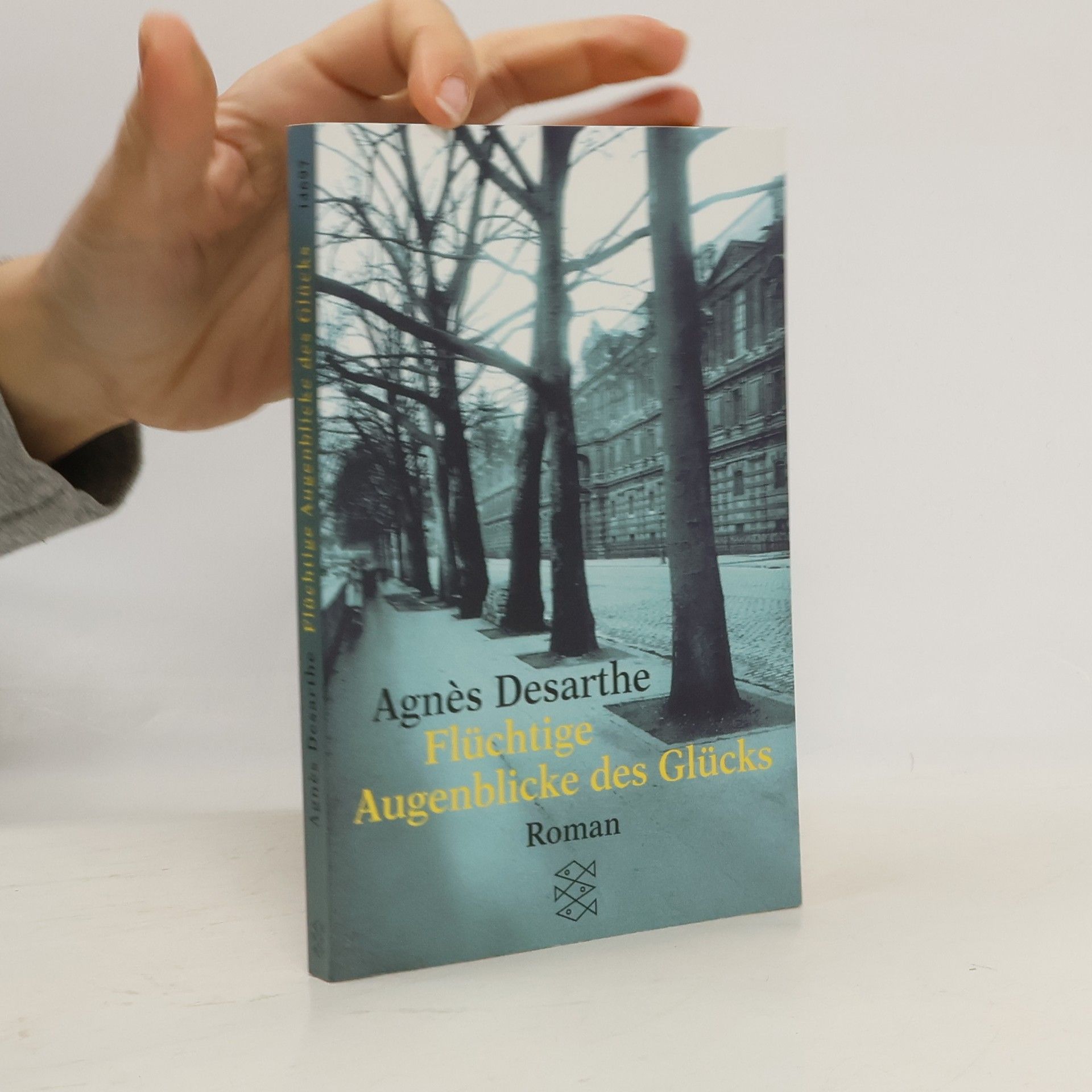 Agnes Desarthe Flüchtige Augenblicke des Glücks