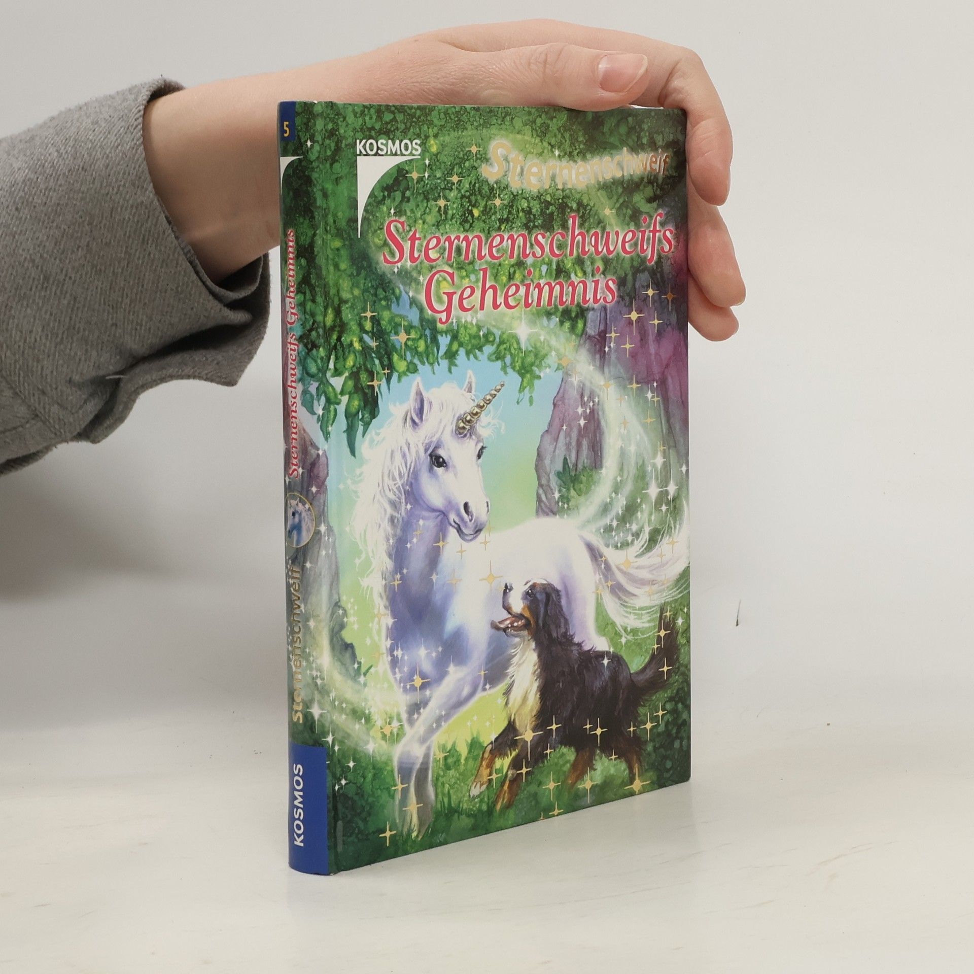 Linda Chapman Sternenschweifs Geheimnis 5