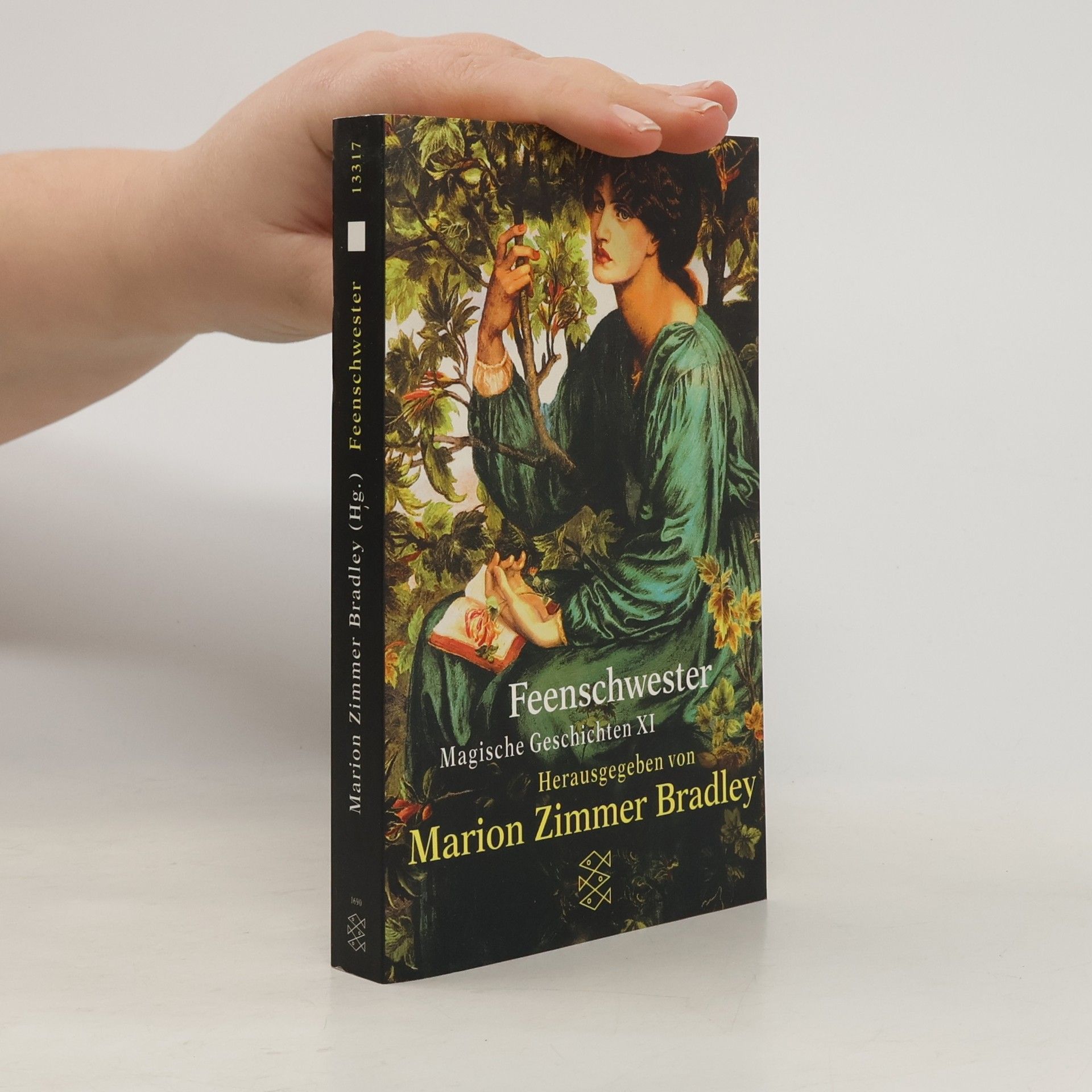 Marion Zimmer Bradley Magische Geschichten