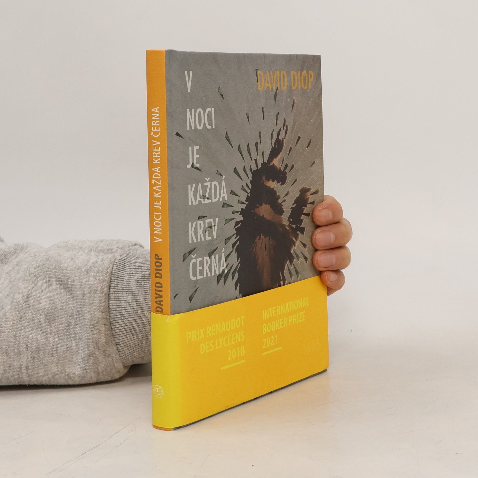 David Diop V noci je každá krev černá