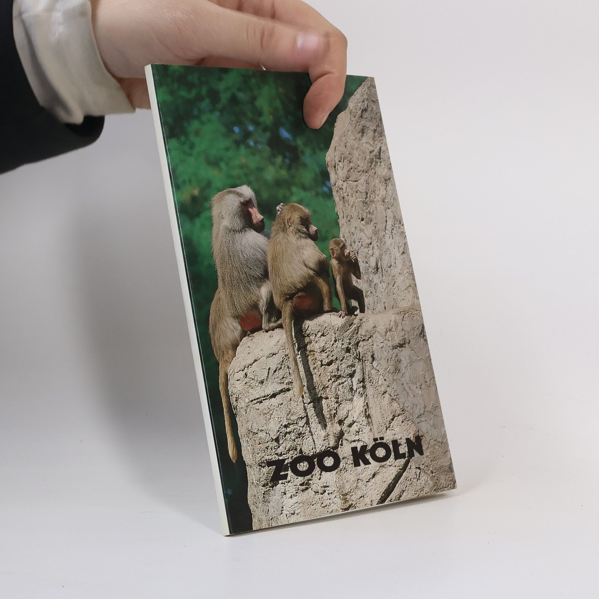 Auteurscollectief Zoo Köln