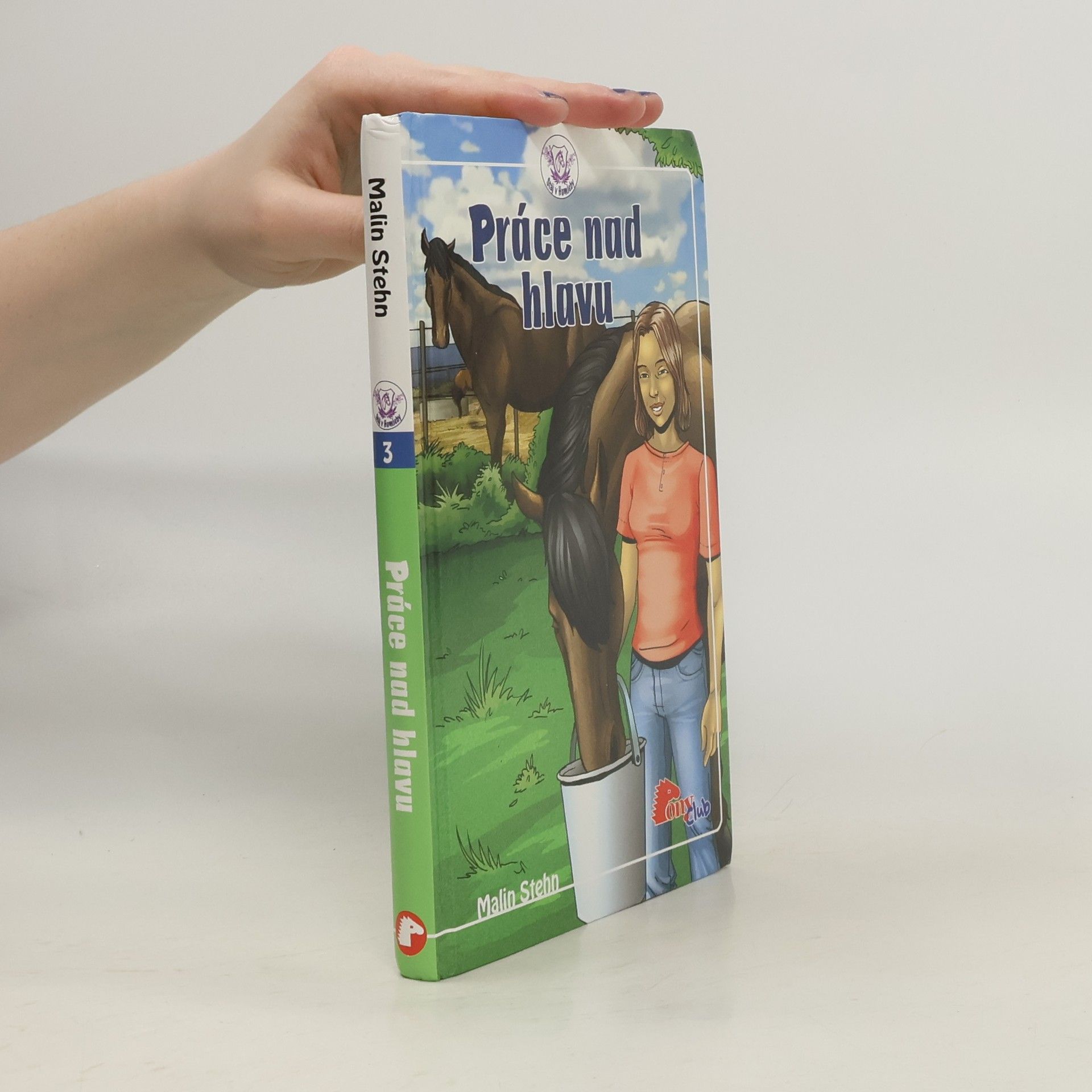 Malin Stehn Práce nad hlavu