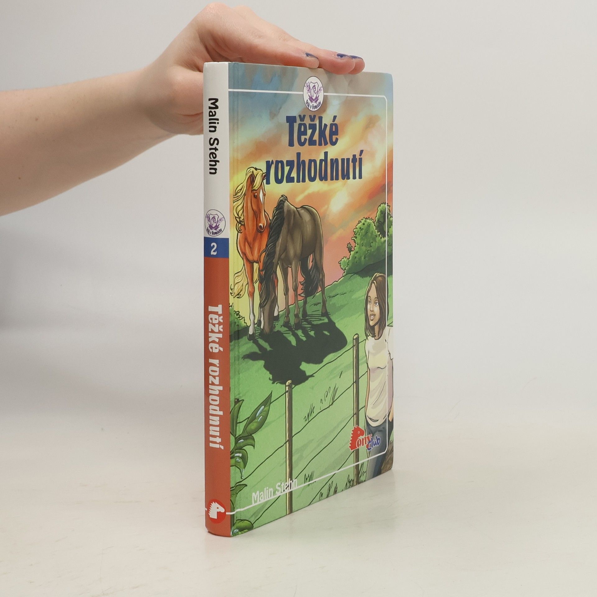 Malin Stehn Těžké rozhodnutí