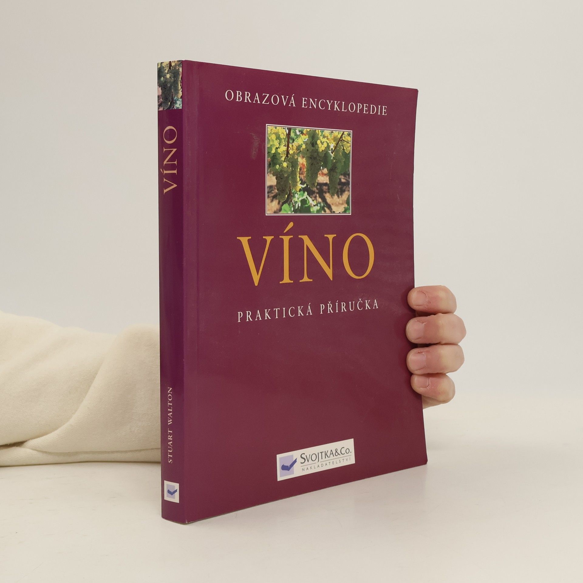Stuart Walton Víno - praktická příručka