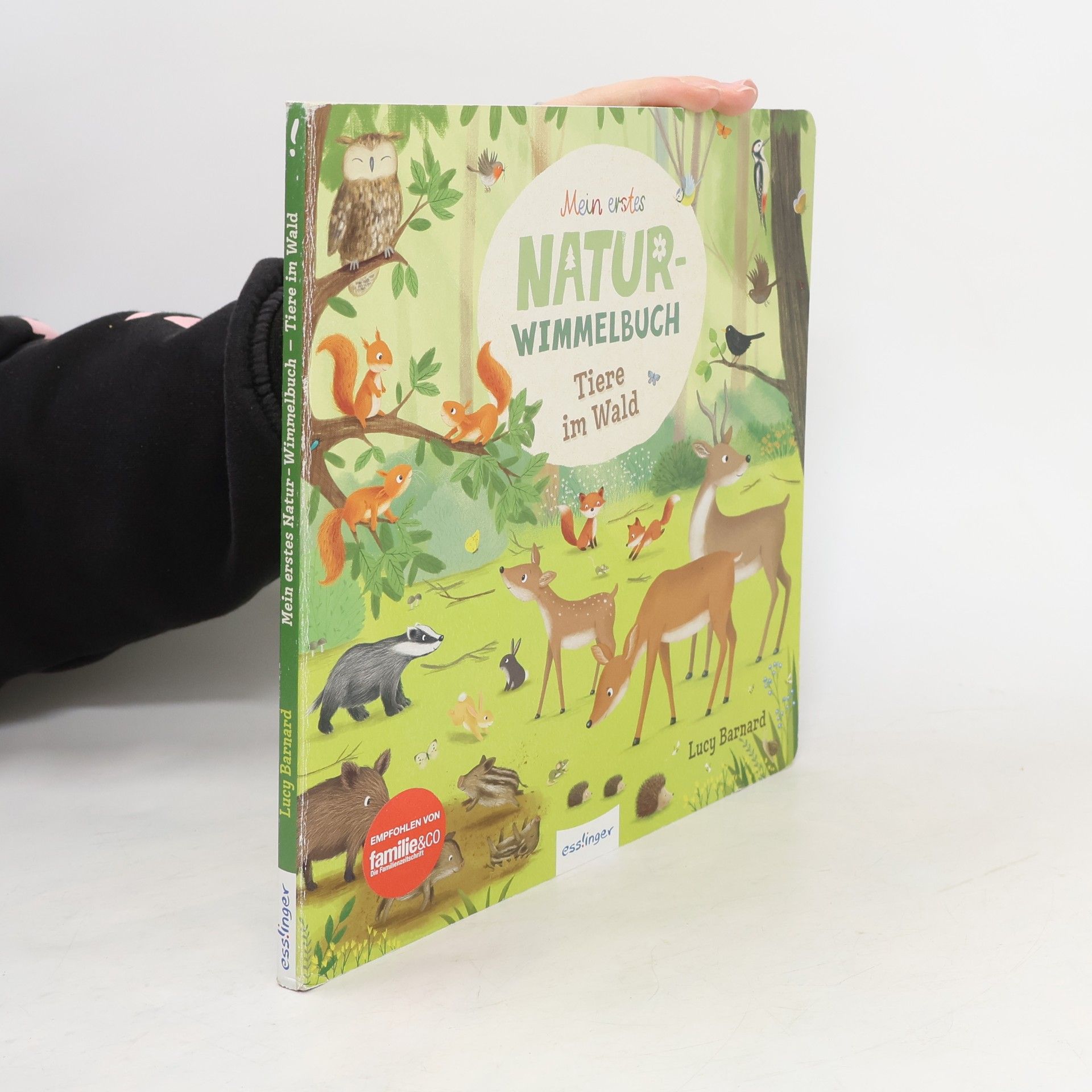 Mein erstes Natur-Wimmelbuch: Tiere im Wald