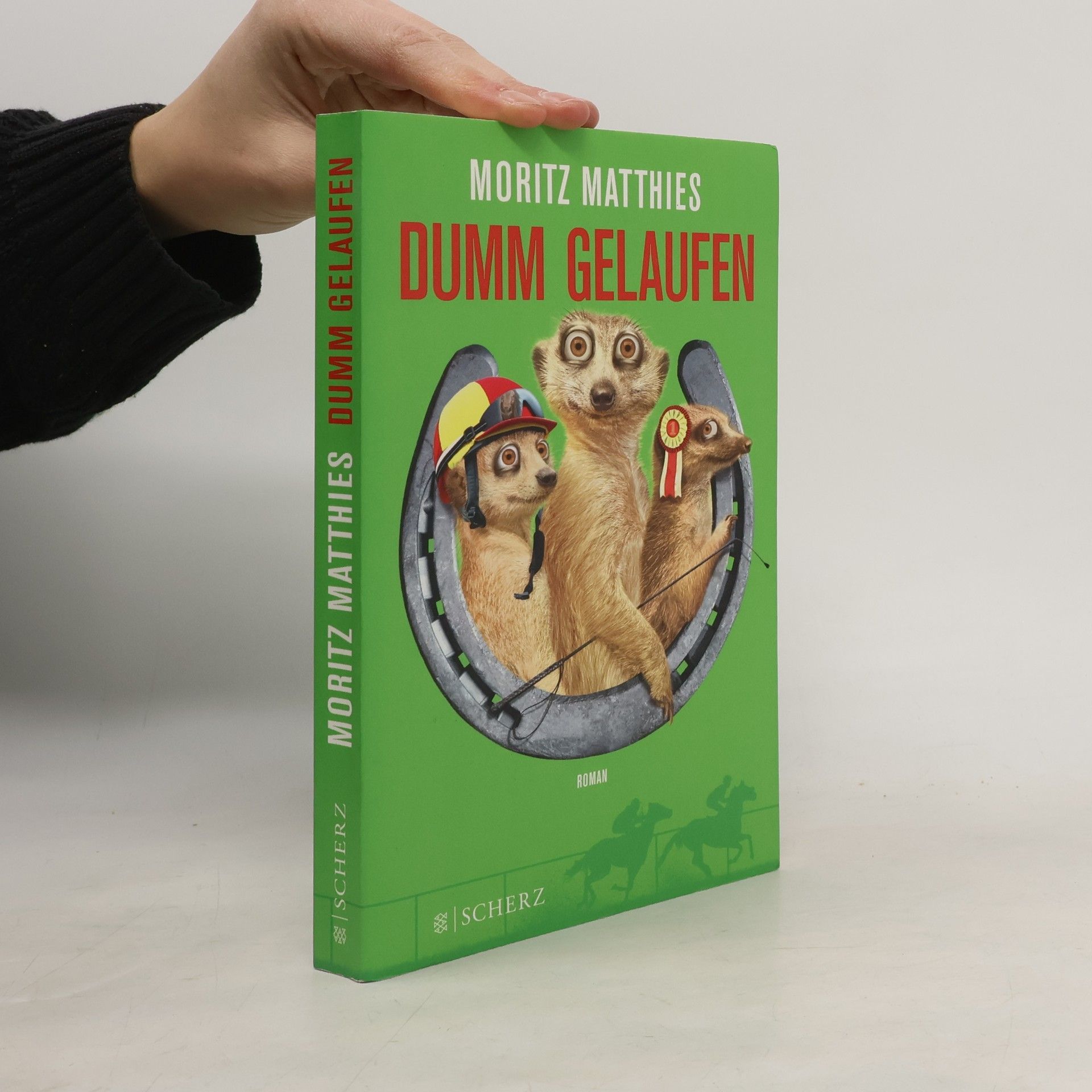 Moritz Matthies Dumm gelaufen