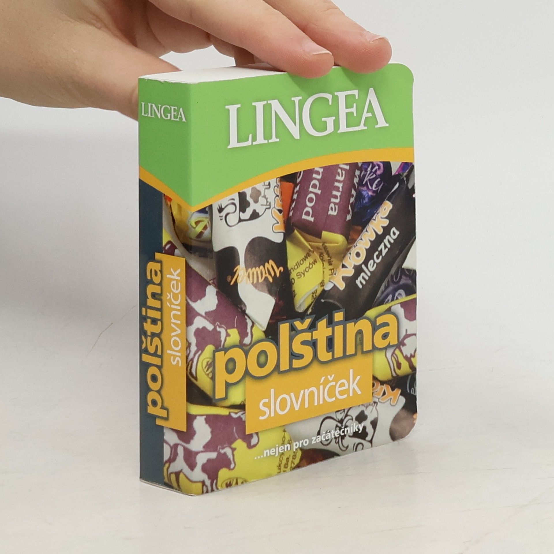 Various authors Polština: Slovníček