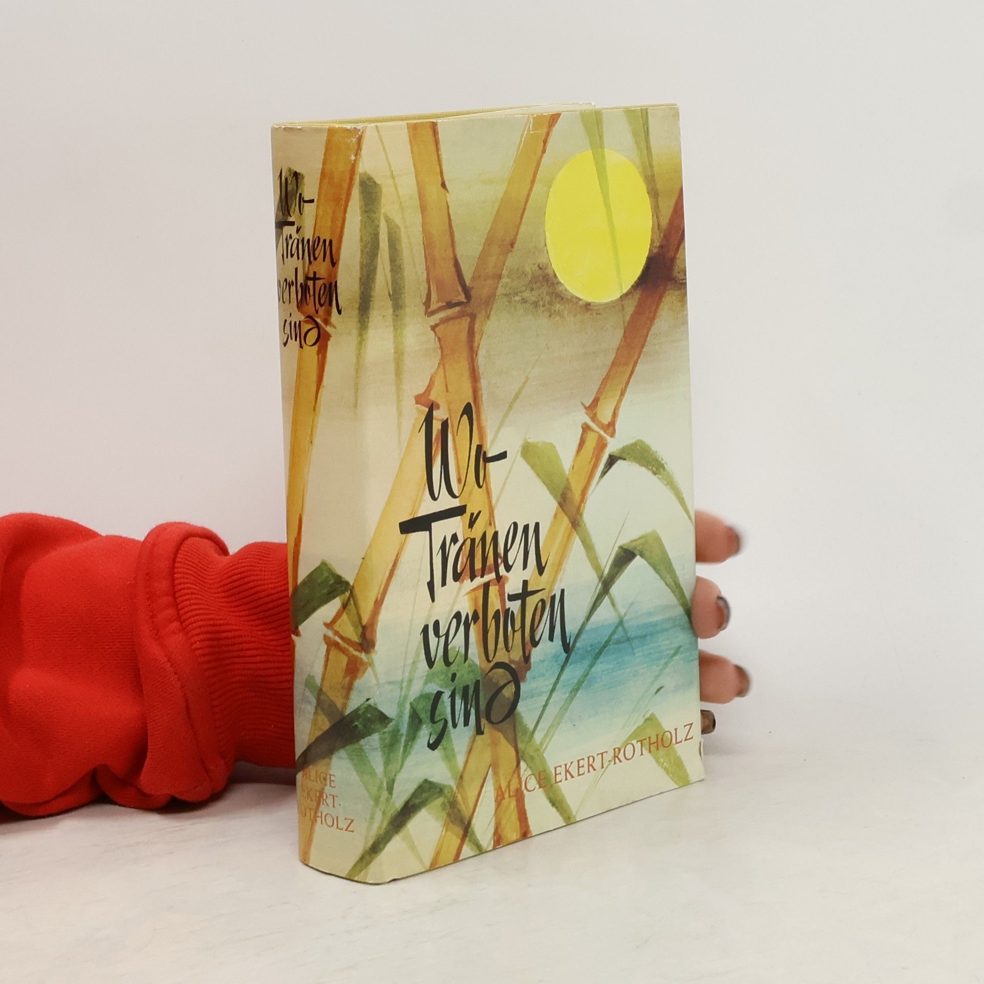 Alice Ekert-Rotholz Wo Tränen verboten sind