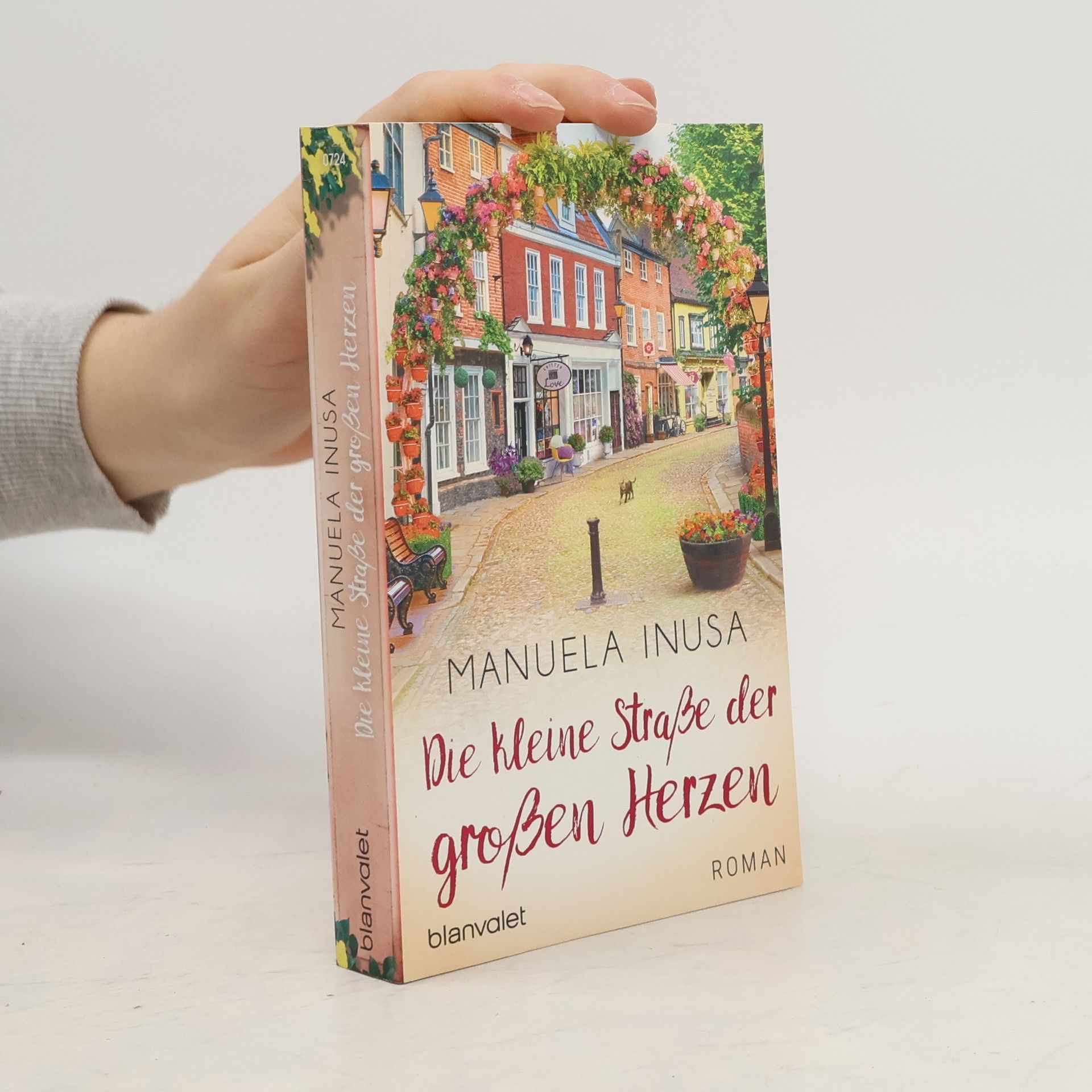 Manuela Inusa Die kleine Straße der großen Herzen