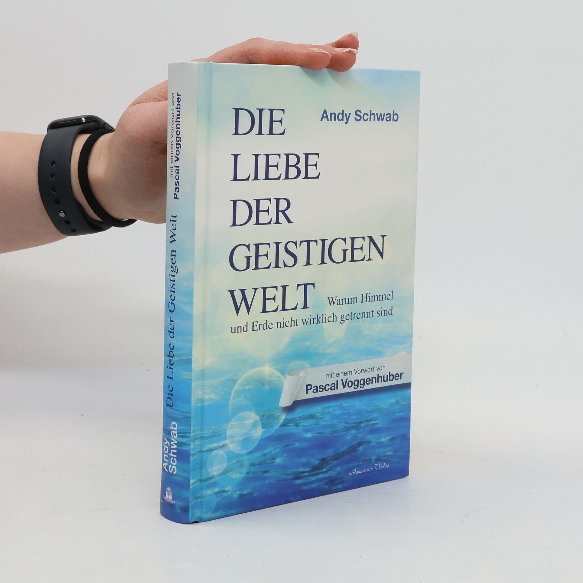 Andy Schwab Die Liebe der Geistigen Welt