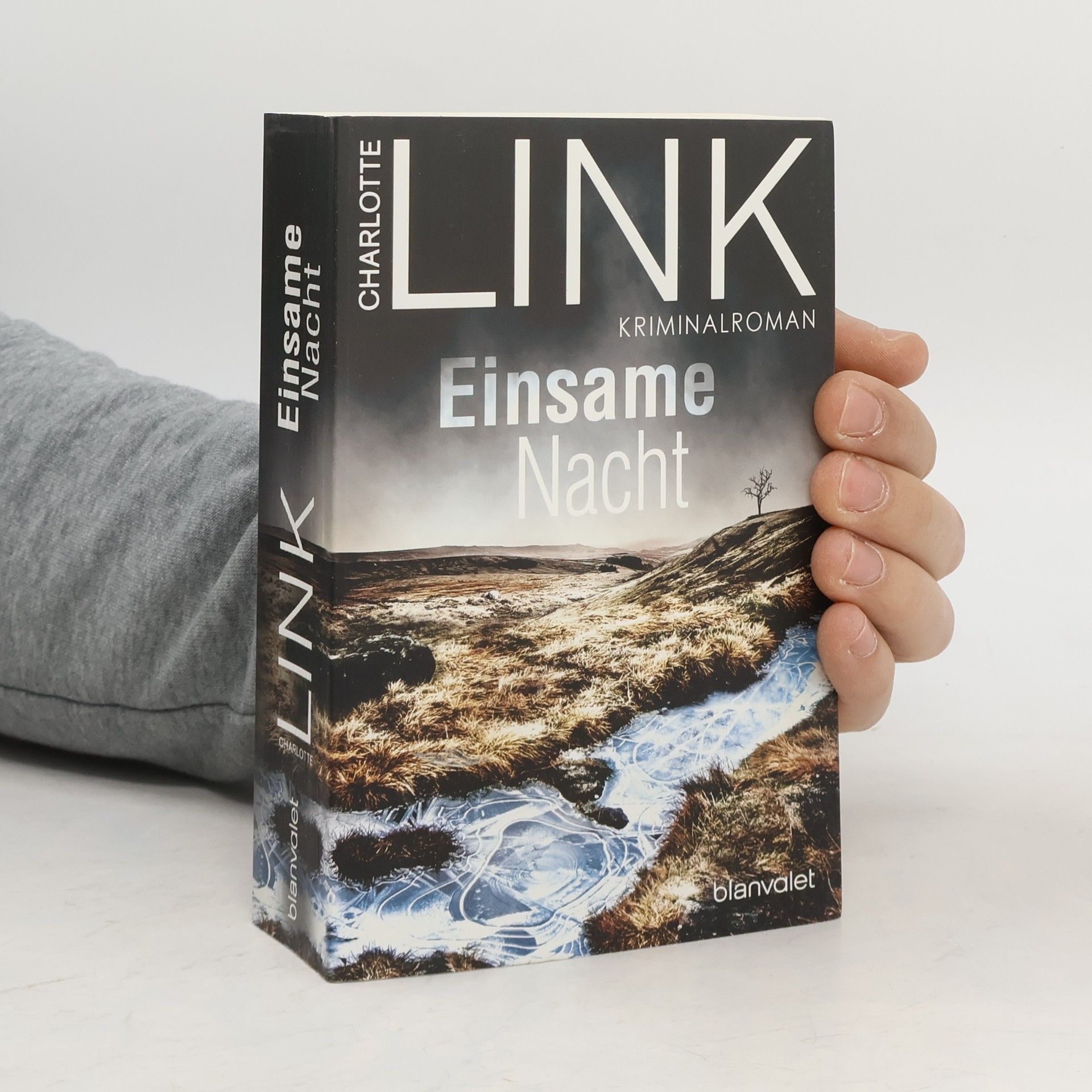 Charlotte Link Einsame Nacht