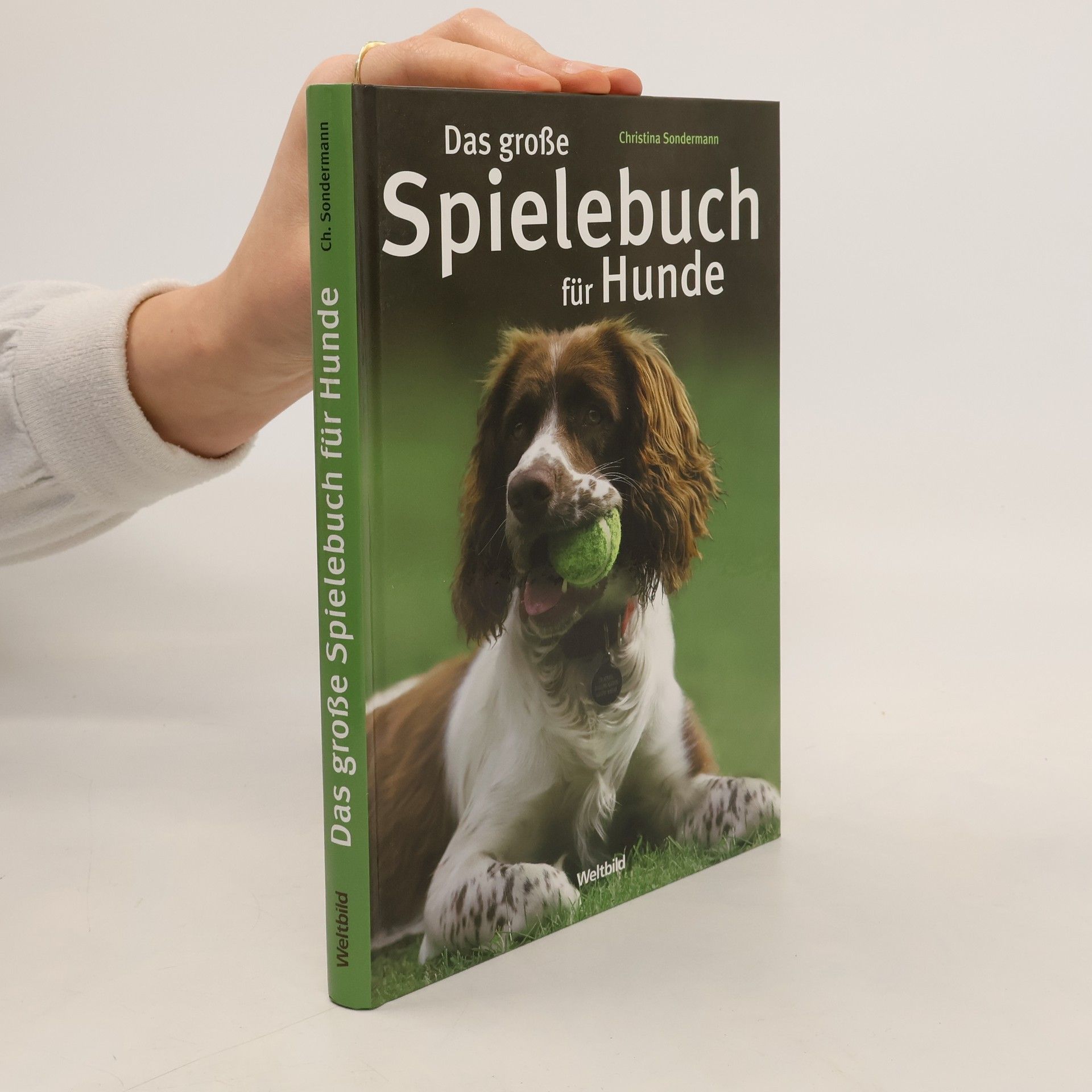 Christina Sondermann Das große Spielebuch für Hunde