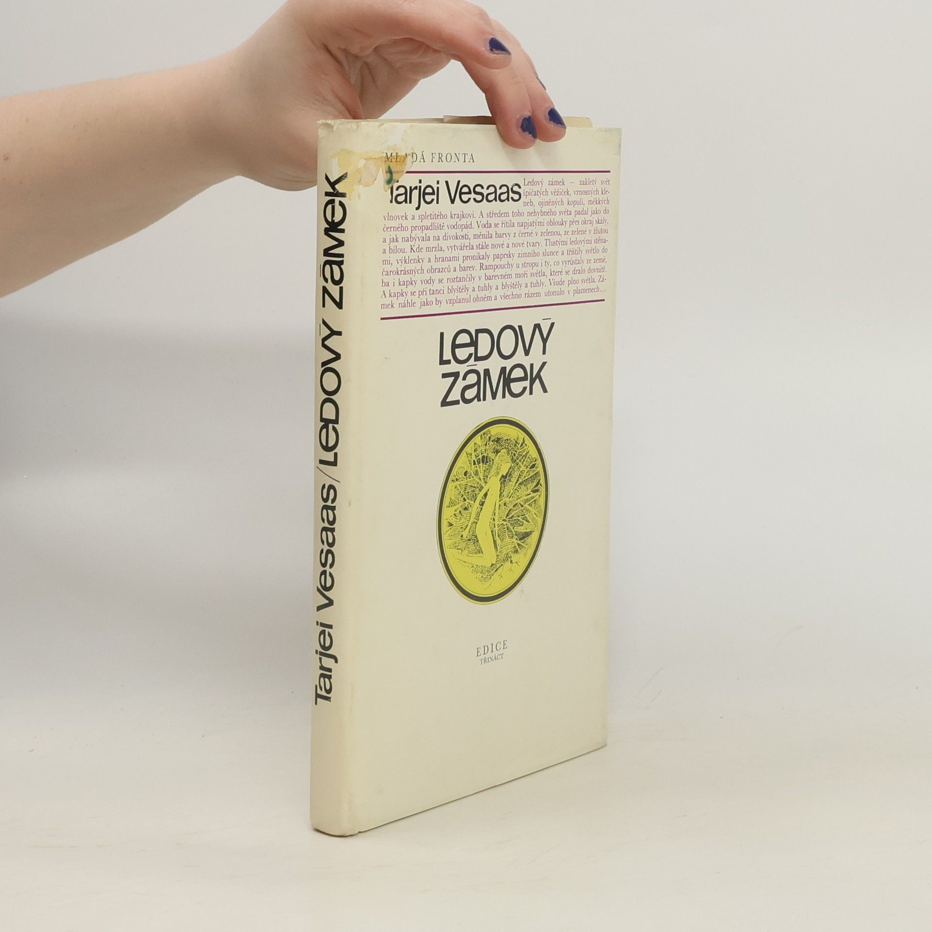 Tarjei Vesaas Ledový zámek