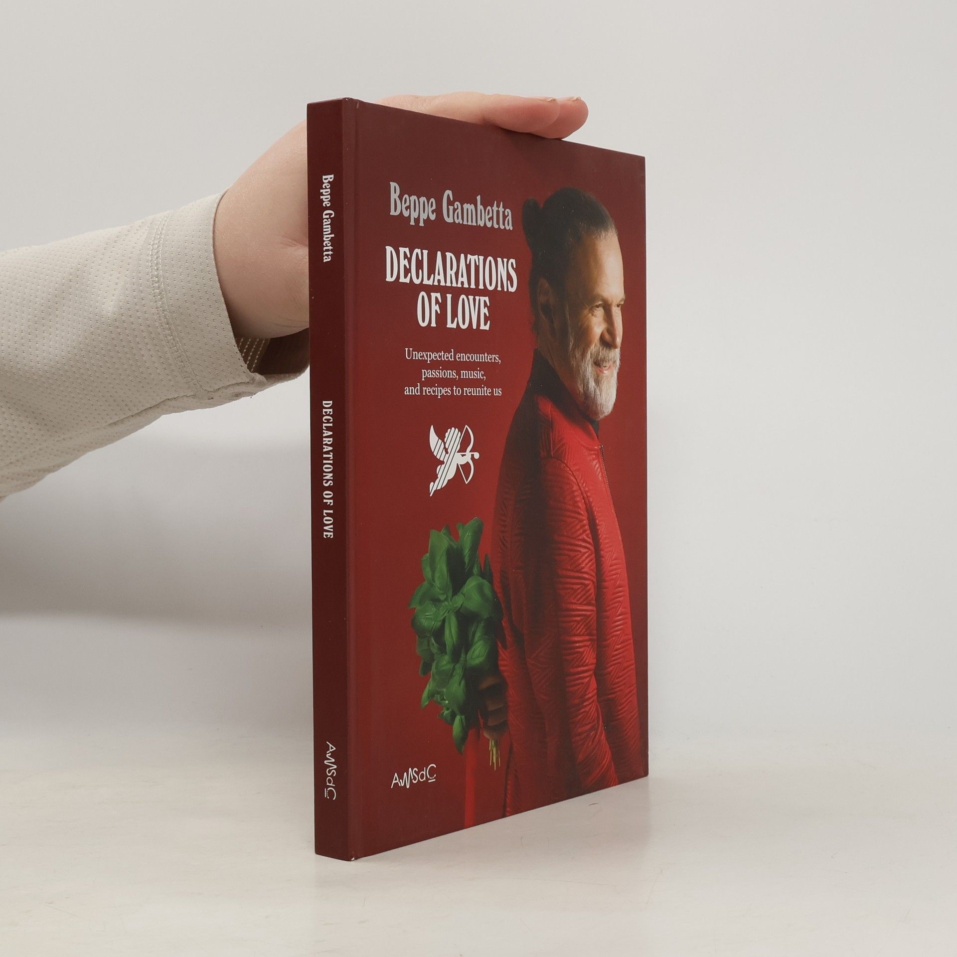 Beppe Gambetta Declarations of Love