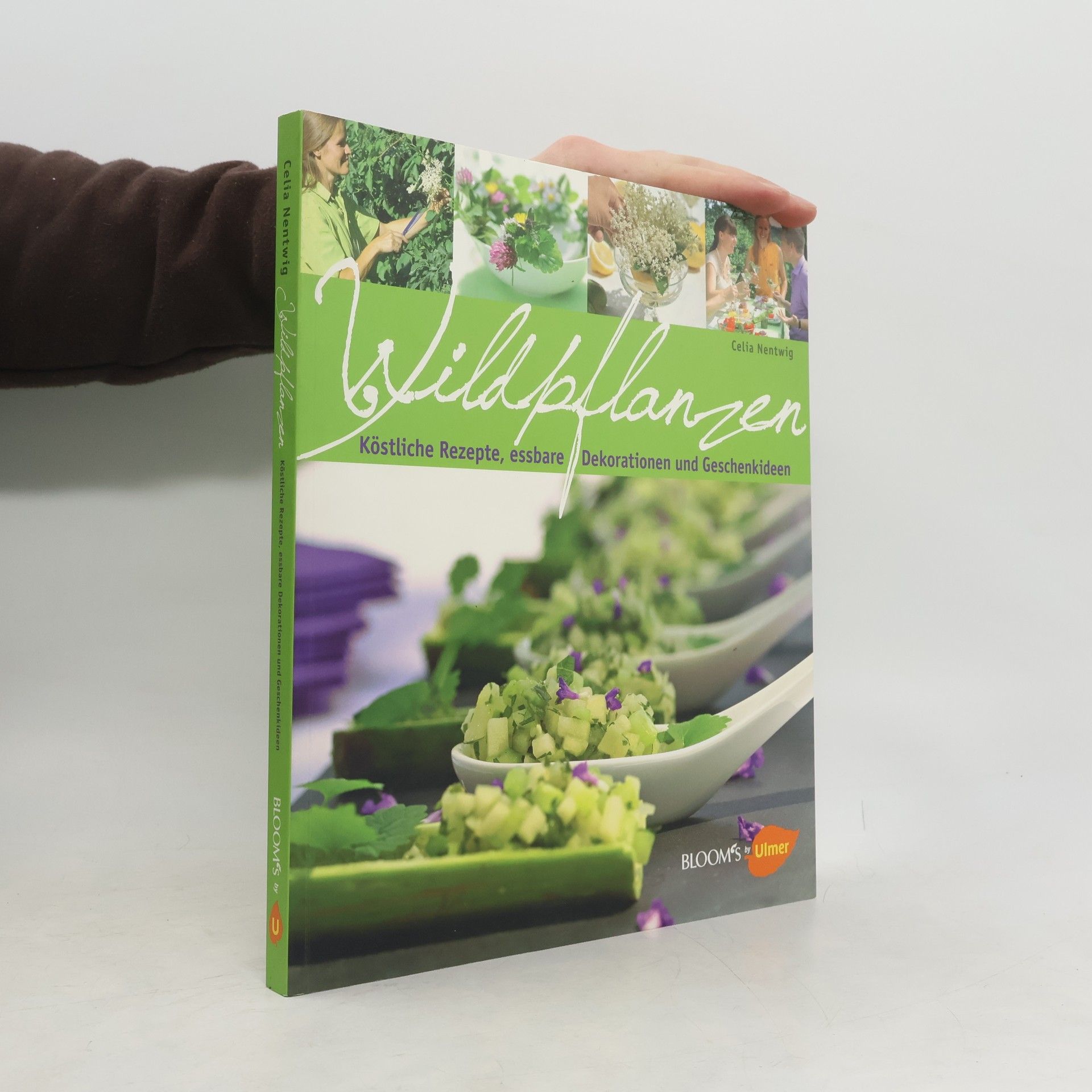 Celie Nentwig Wildpflanzen