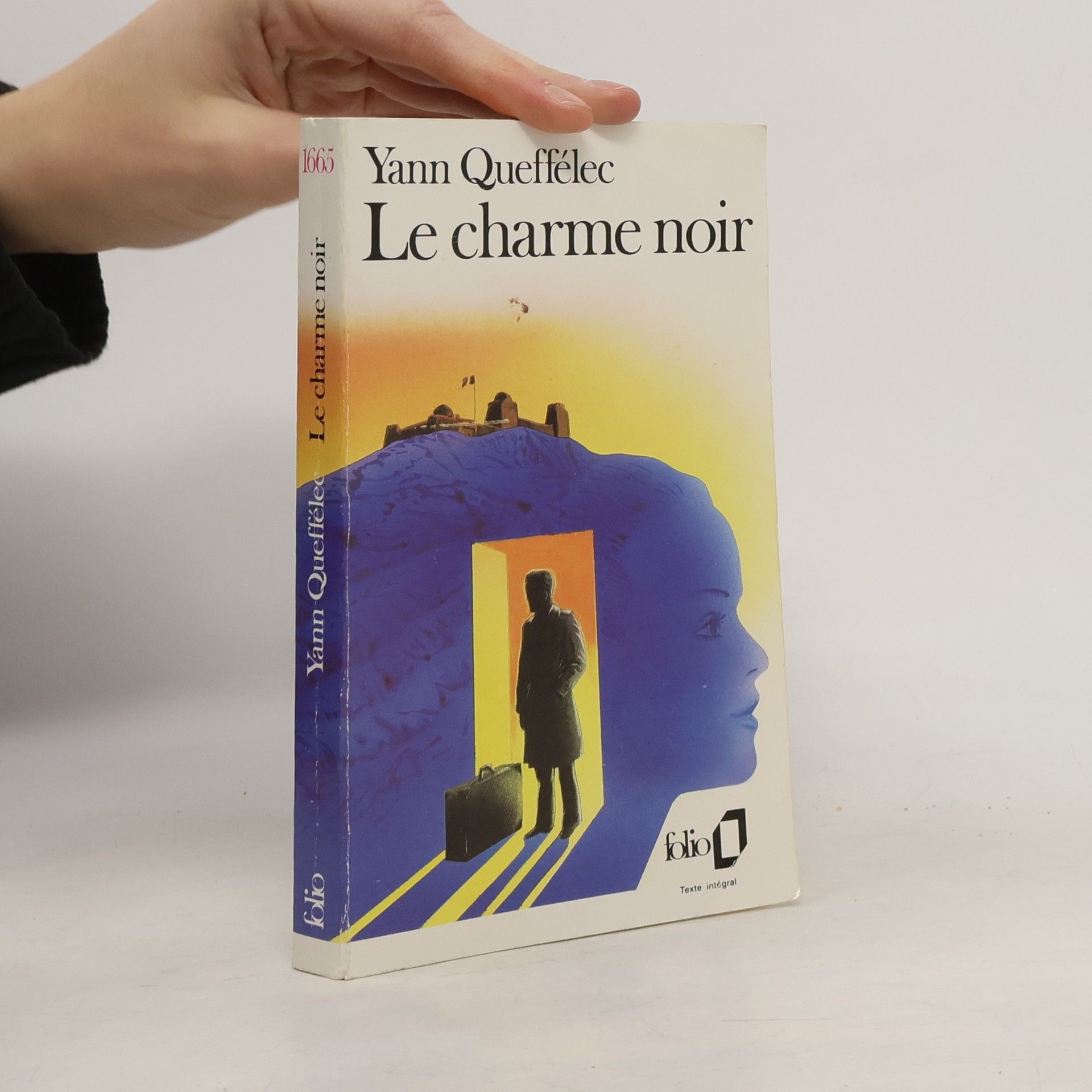 Yann Queffélec Le charme noir