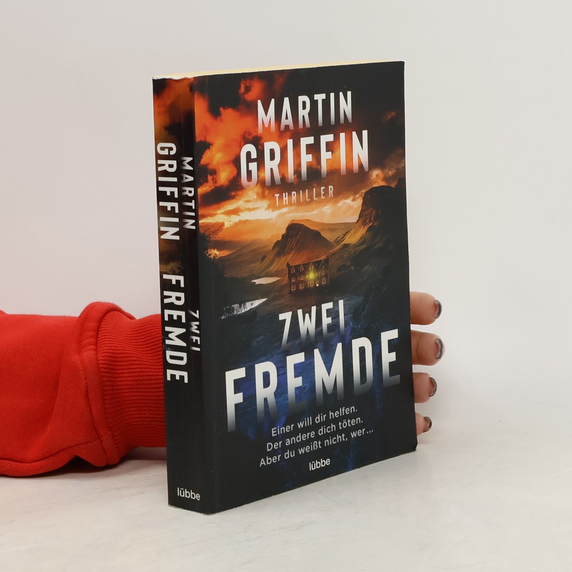 Martin Griffin Zwei Fremde