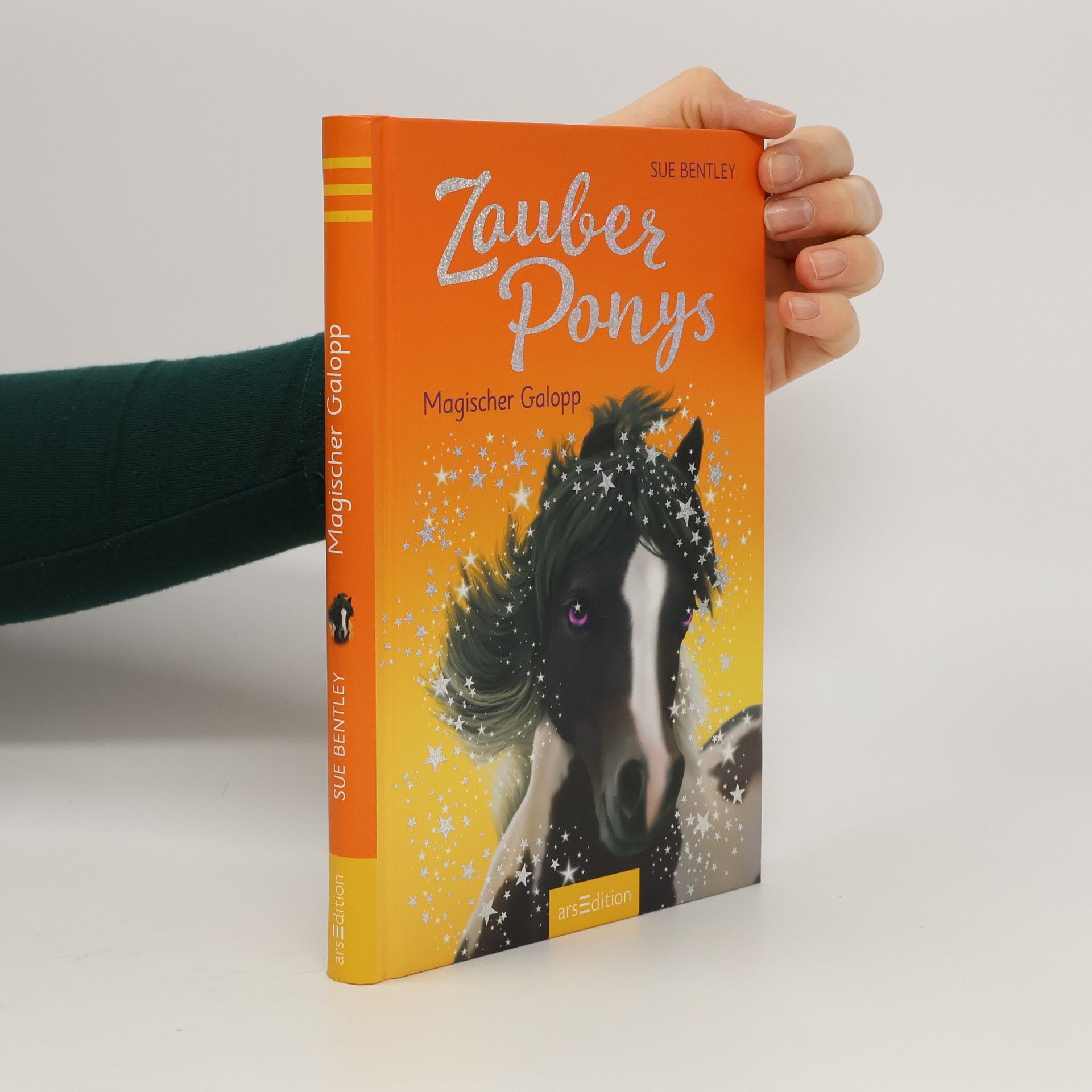 Sue Bentley Zauberponys - magischer Galopp