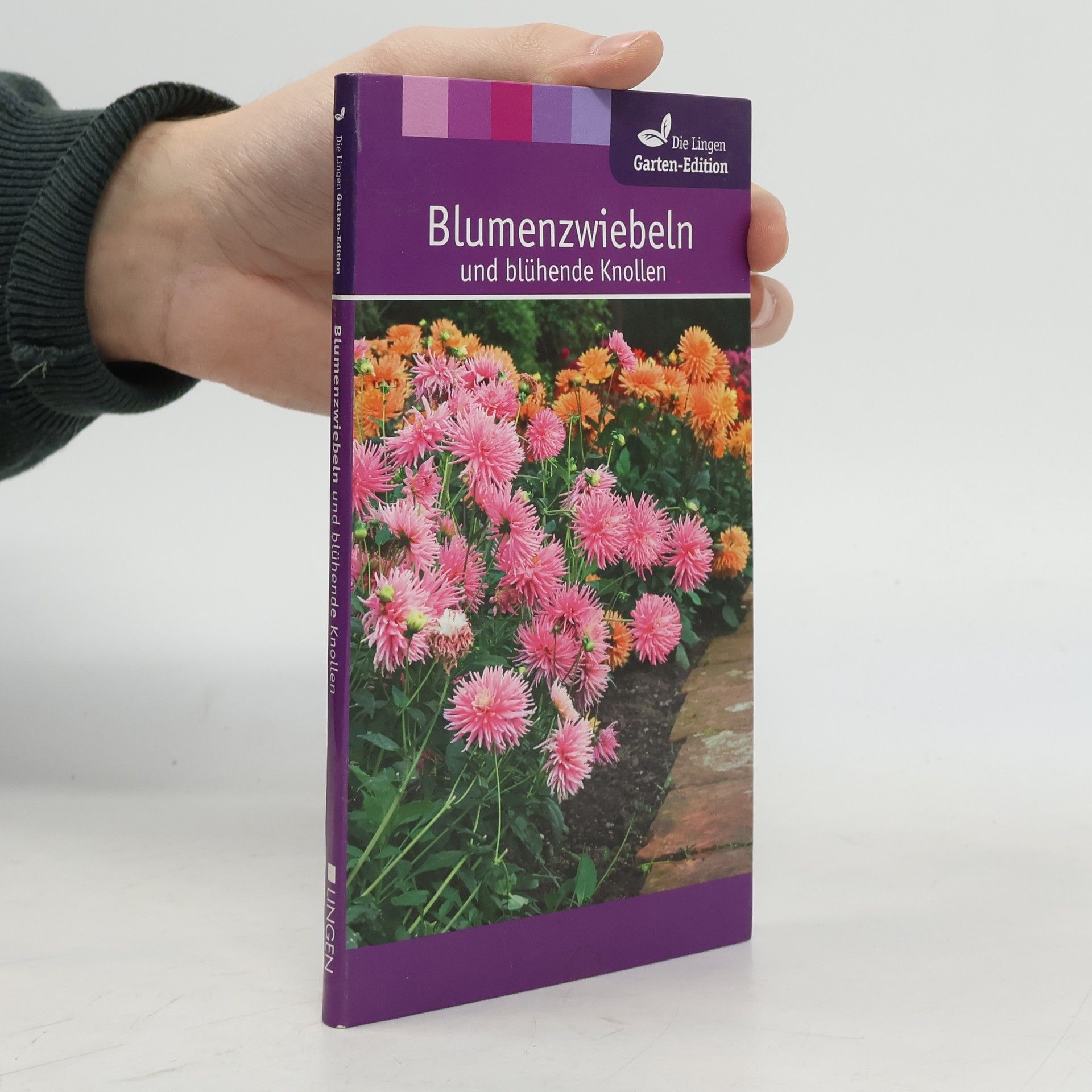 Autorenkollektiv Blumenzwiebeln und blühende Knollen