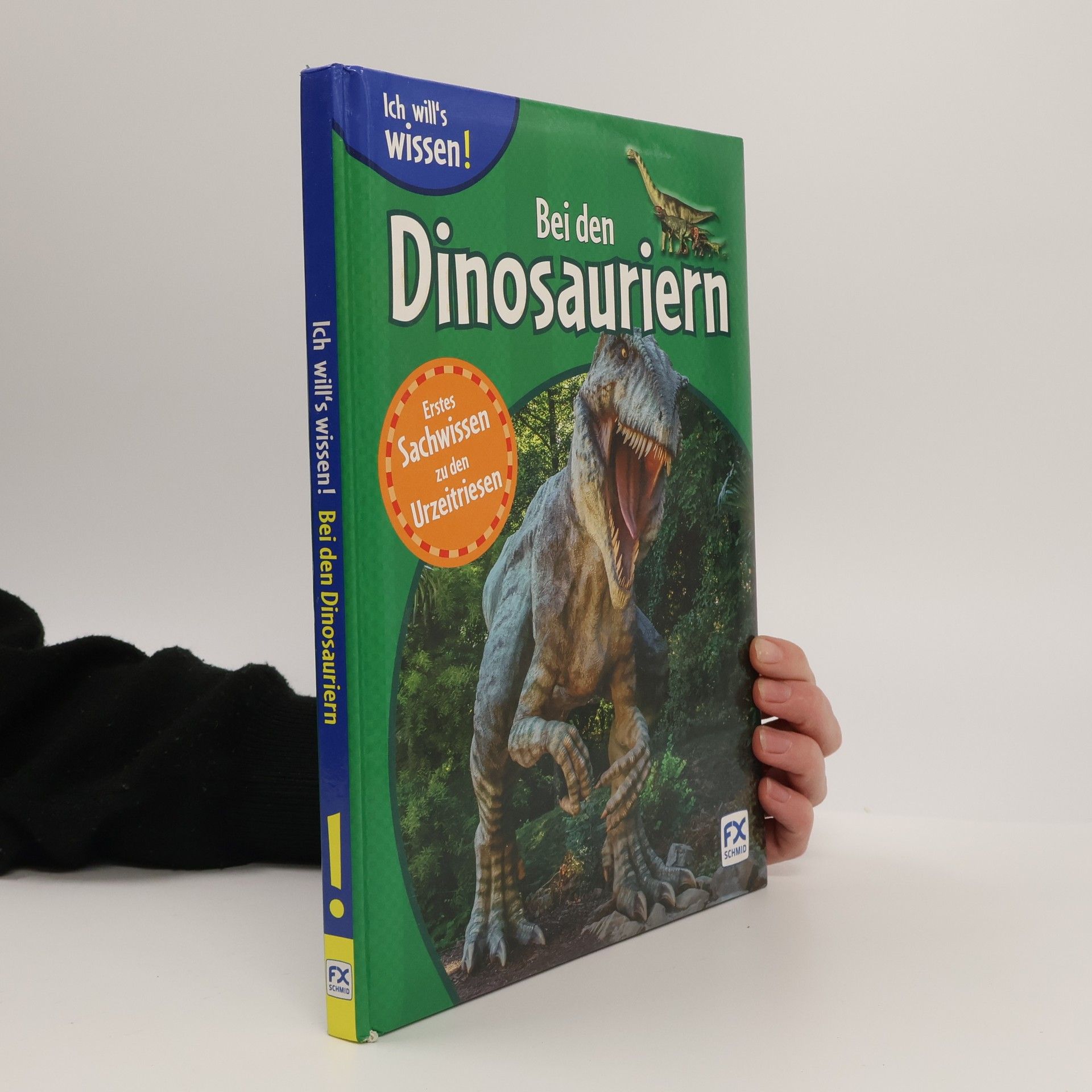 Bei den Dinosauriern