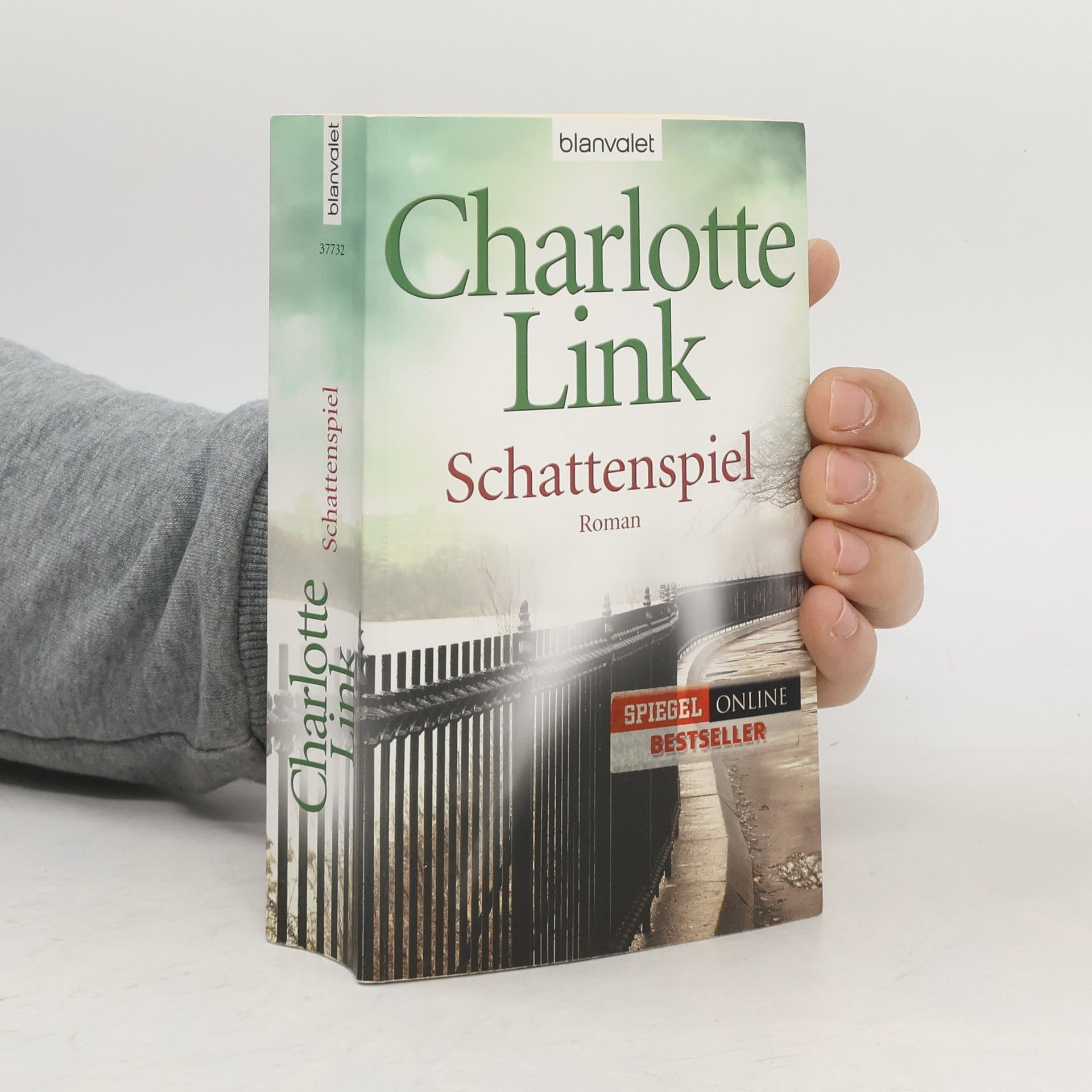 Charlotte Link Schattenspiel