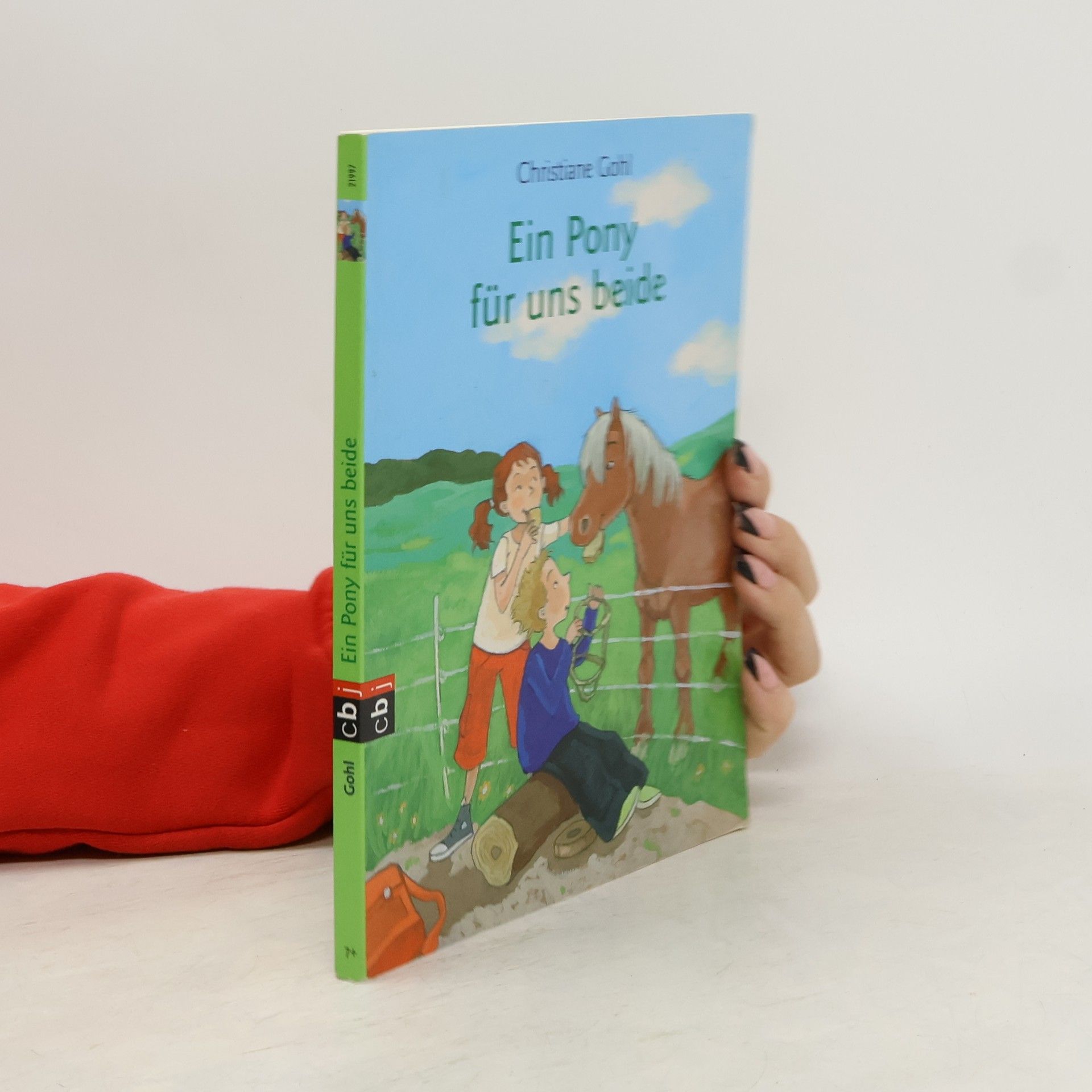 Christiane Gohl Ein Pony für uns beide