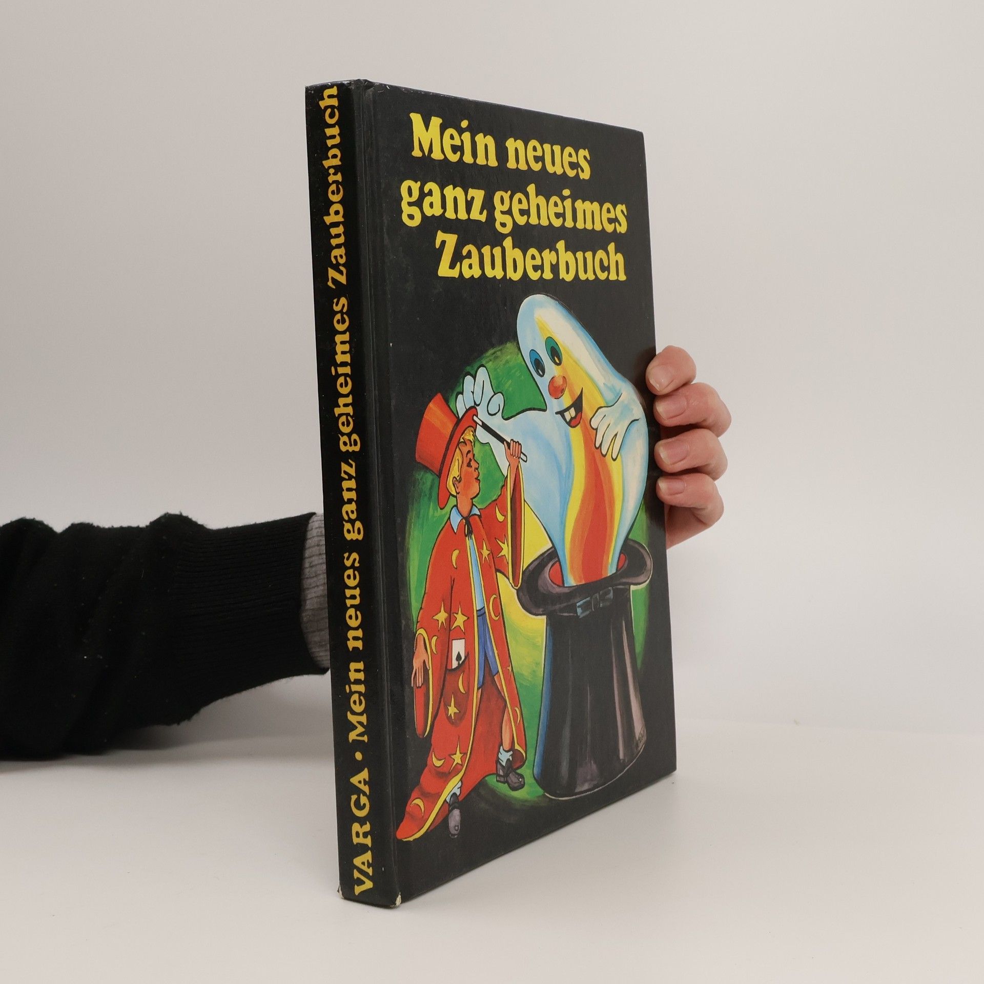 Brigitte Varga Mein neues ganz geheimes Zauberbuch