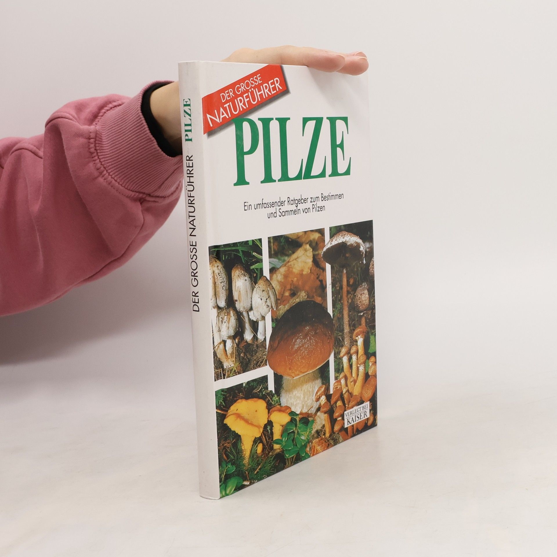 Autorenkollektiv Pilze. Ein umfassender Ratgeber zum Bestimmen und Sammeln von Pilzen.