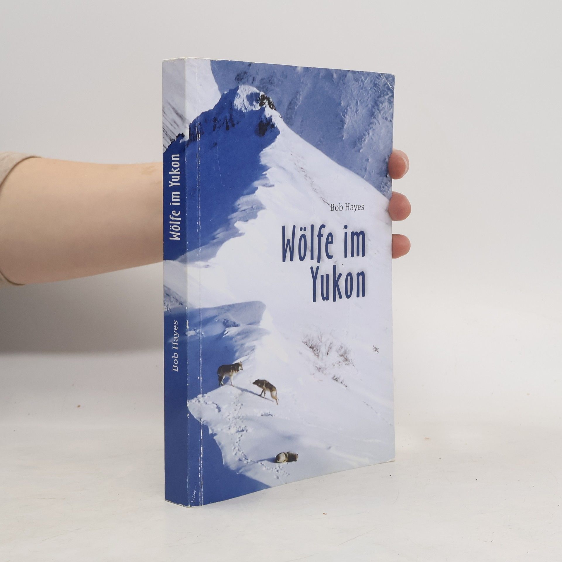 Wölfe im Yukon