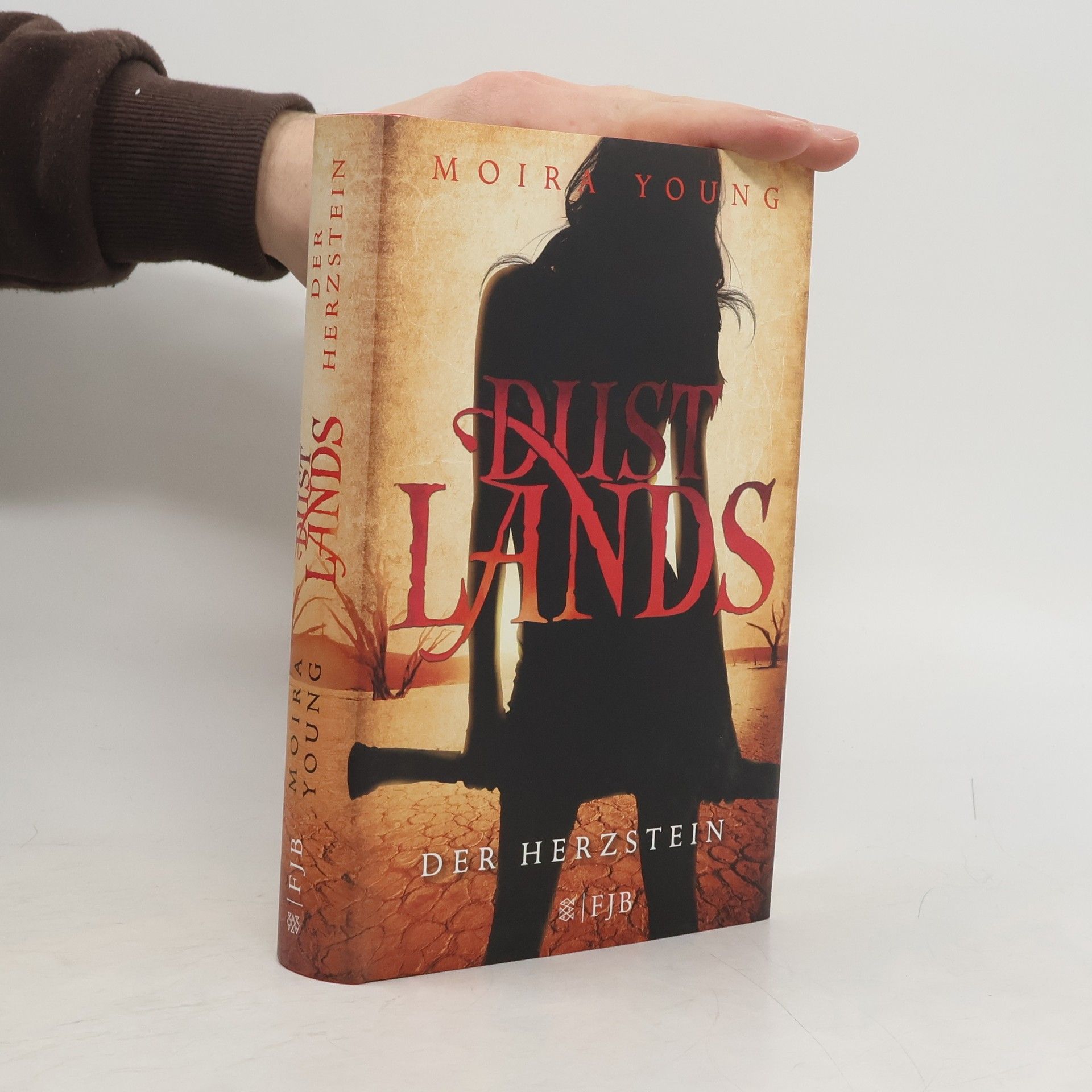 Moira Young Dustlands - Der Herzstein