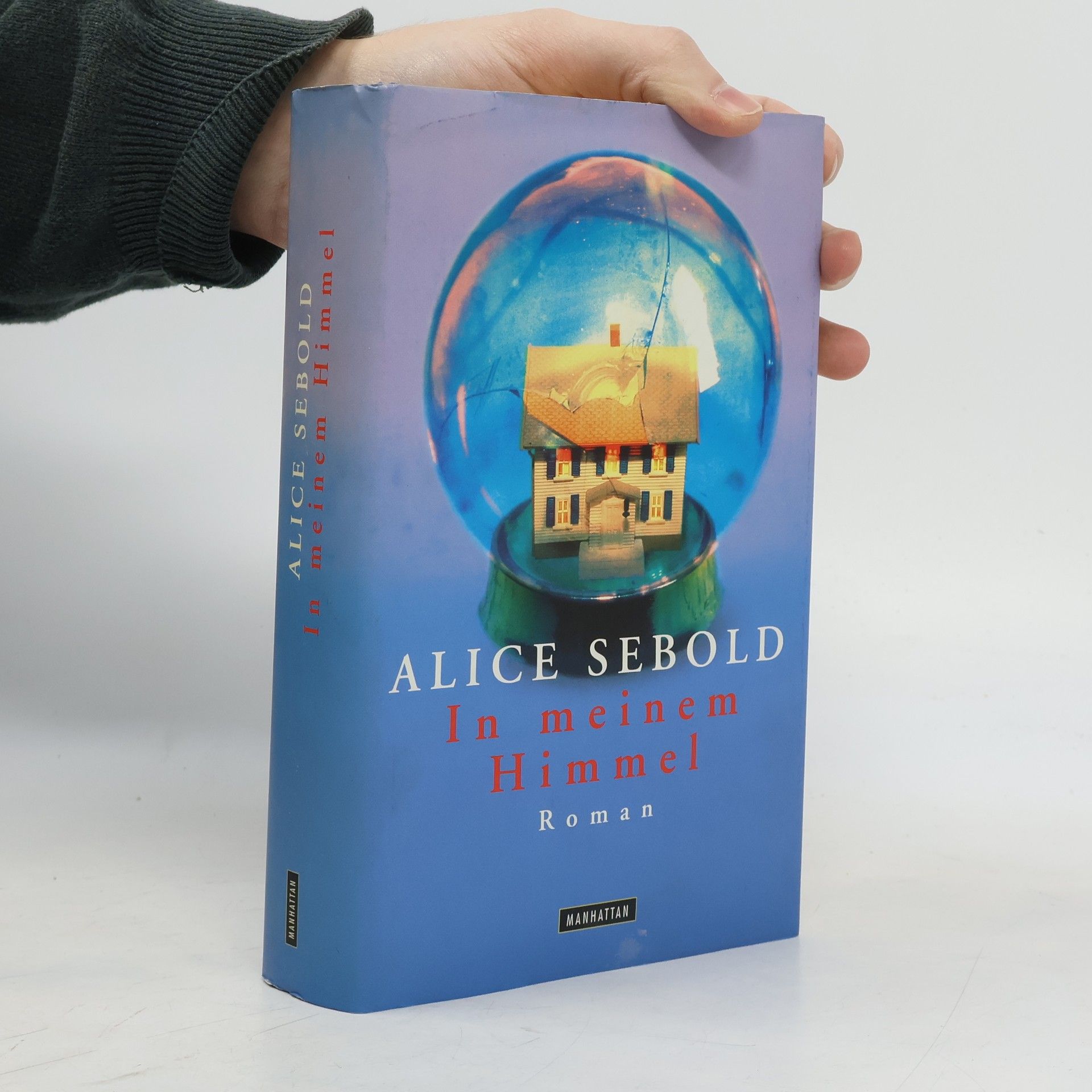 Alice Sebold In meinem Himmel