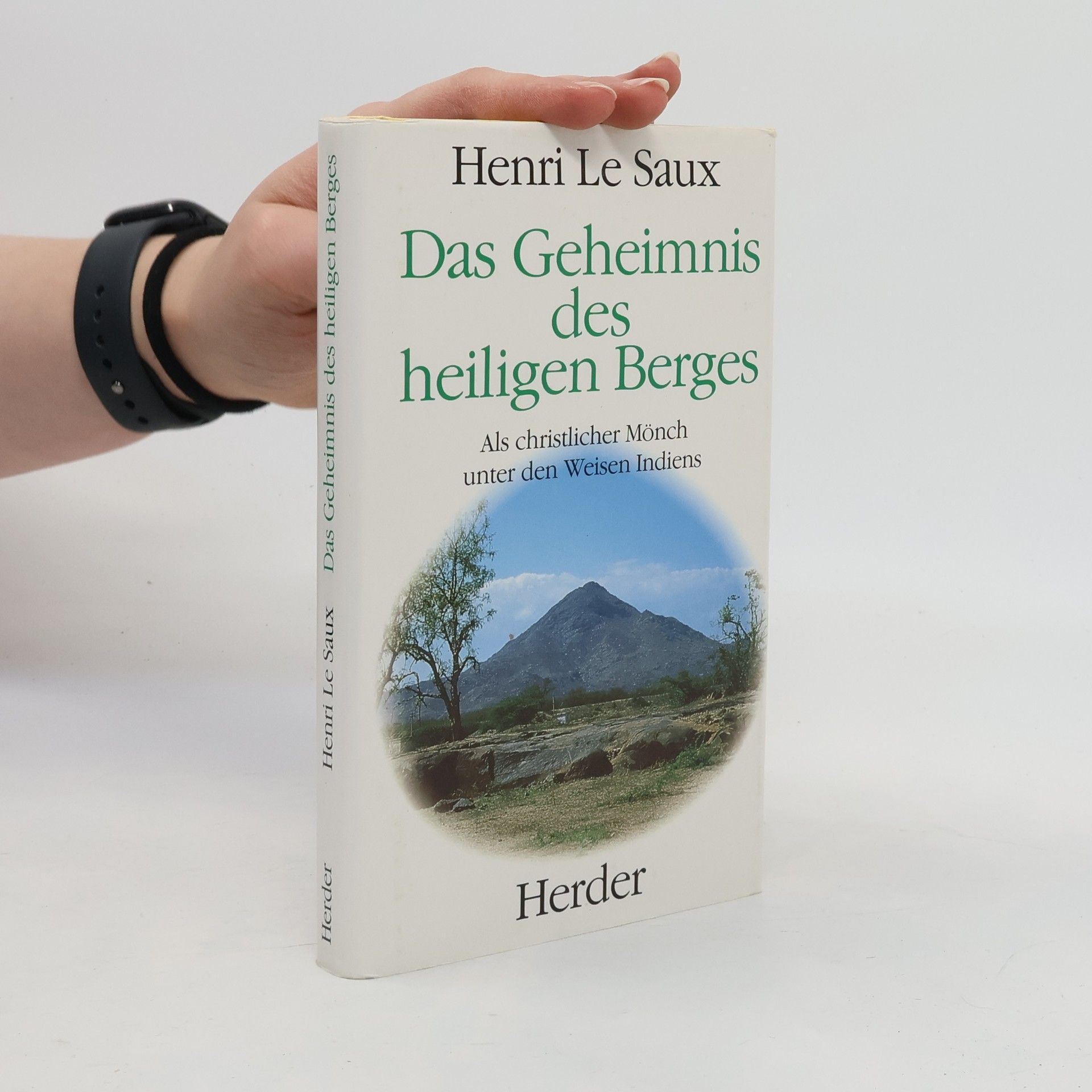 Henri Le Saux Das Geheimnis des heiligen Berges
