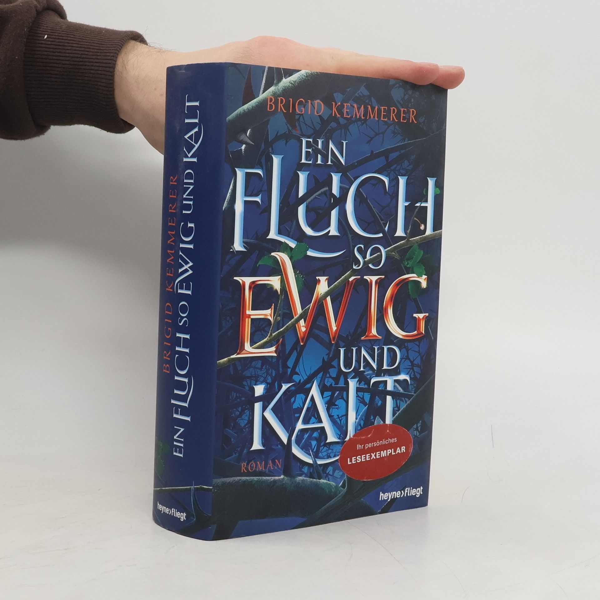 Brigid Kemmerer Ein Fluch so ewig und kalt