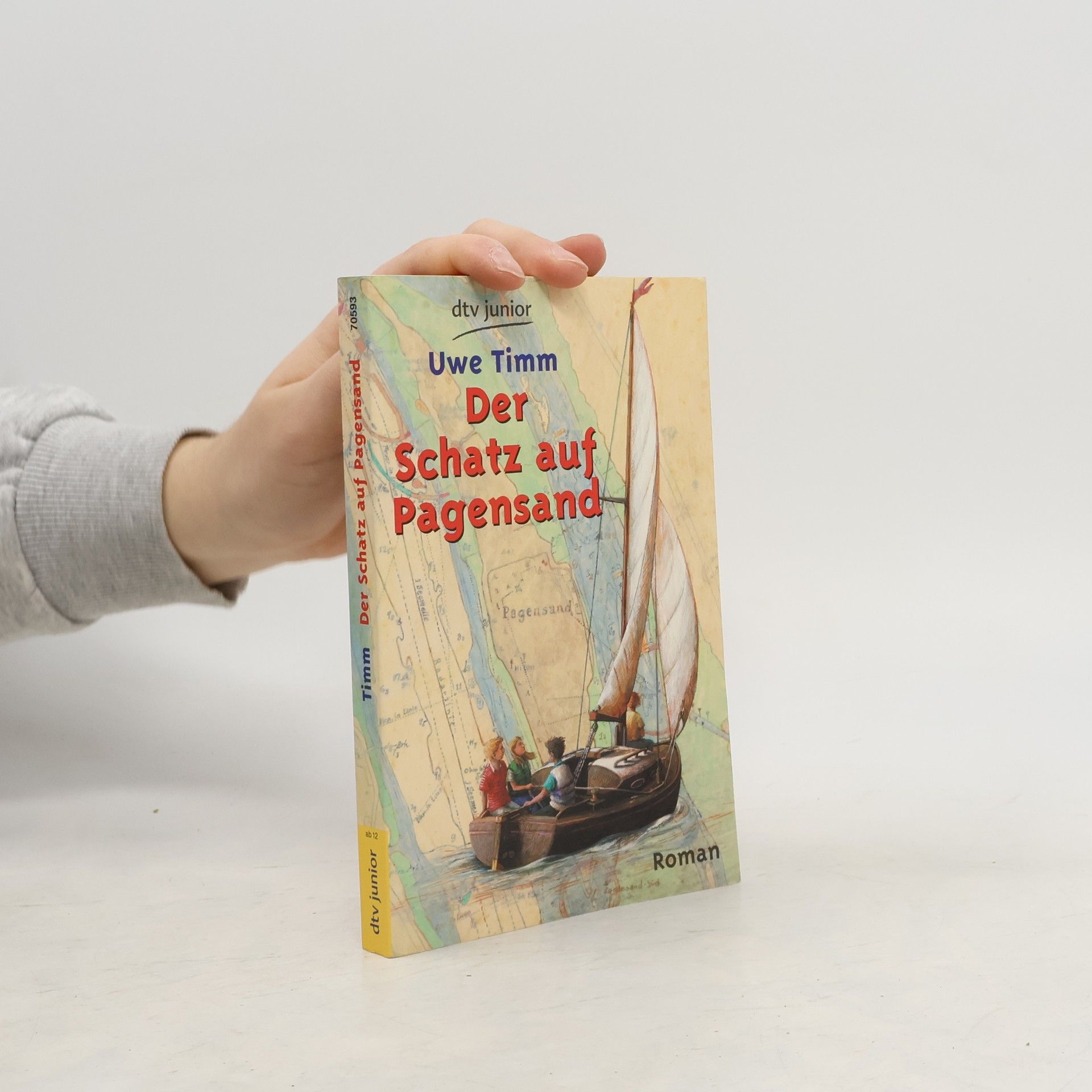 Uwe Timm Der Schatz auf Pagensand
