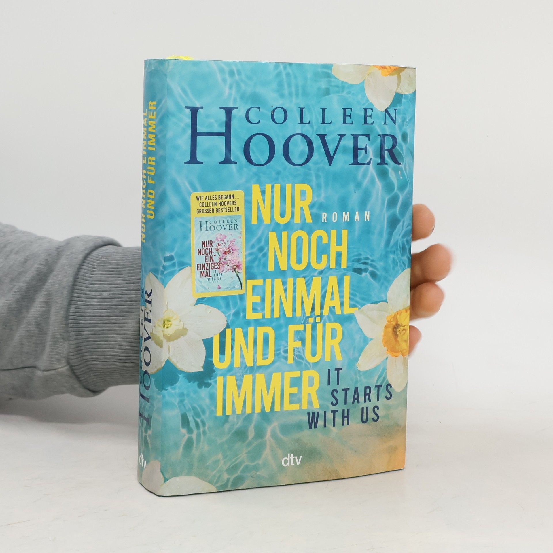 Colleen Hoover Nur noch einmal und für immer
