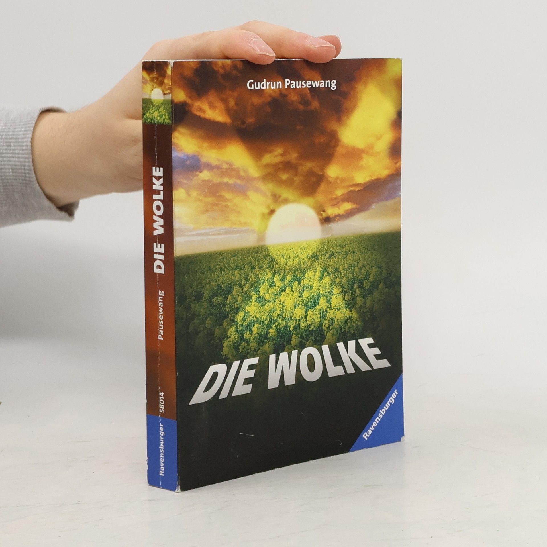 Gudrun Pausewang Die Wolke