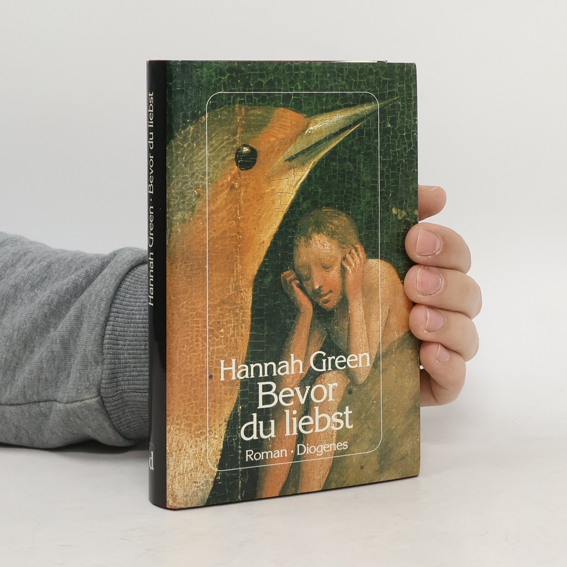 Hannah Green Bevor du liebst