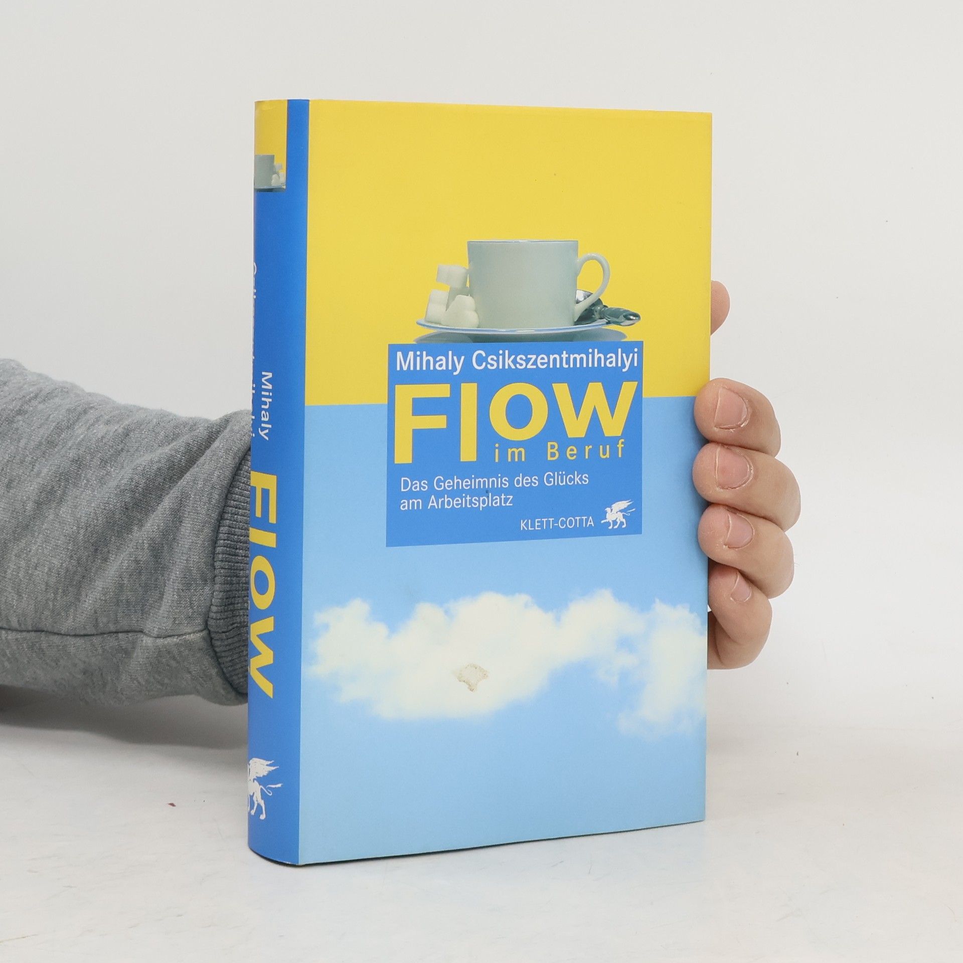 Mihaly Csikszentmihalyi Flow im Beruf