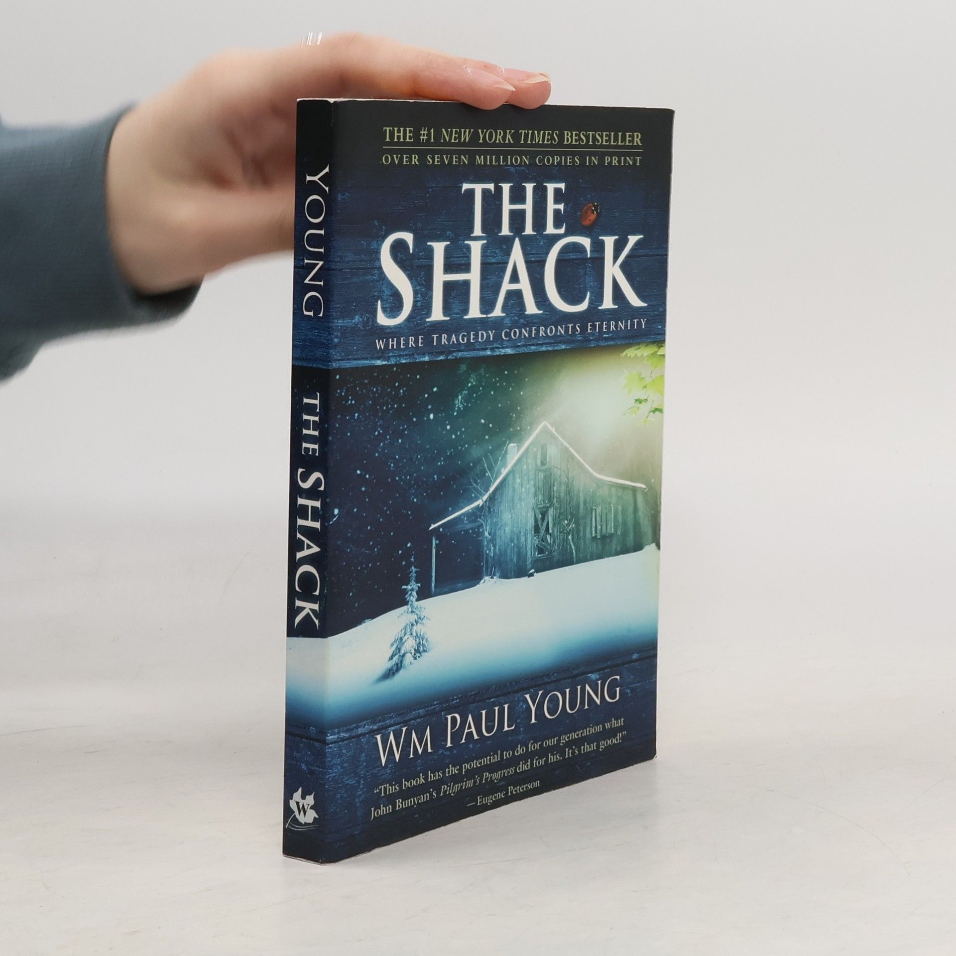 William P. Young The Shack