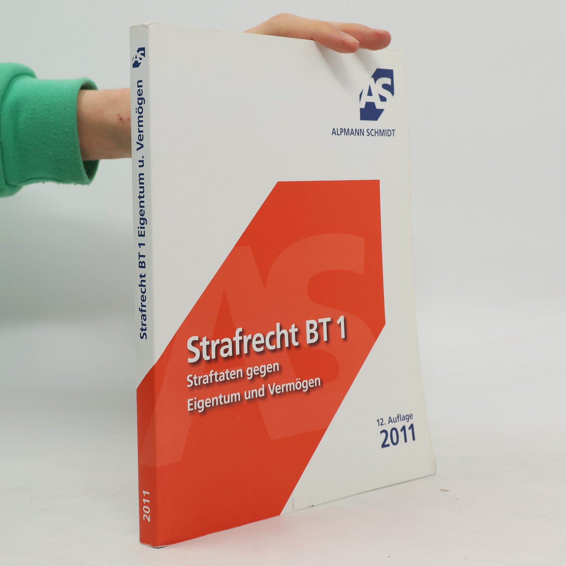 Rolf Krüger Strafrecht - BT 1