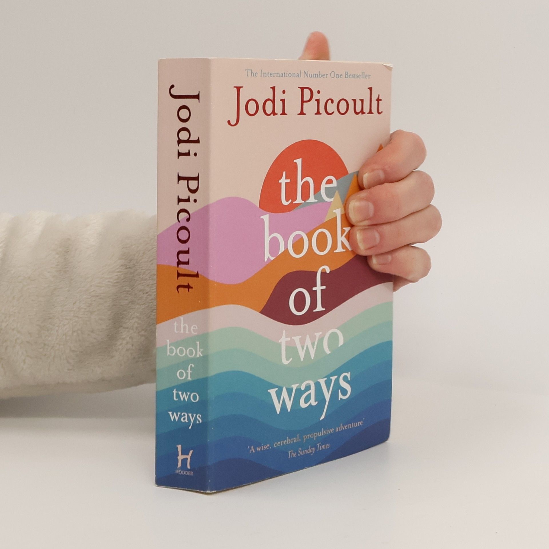 Jodi Picoult The Book of Two Ways