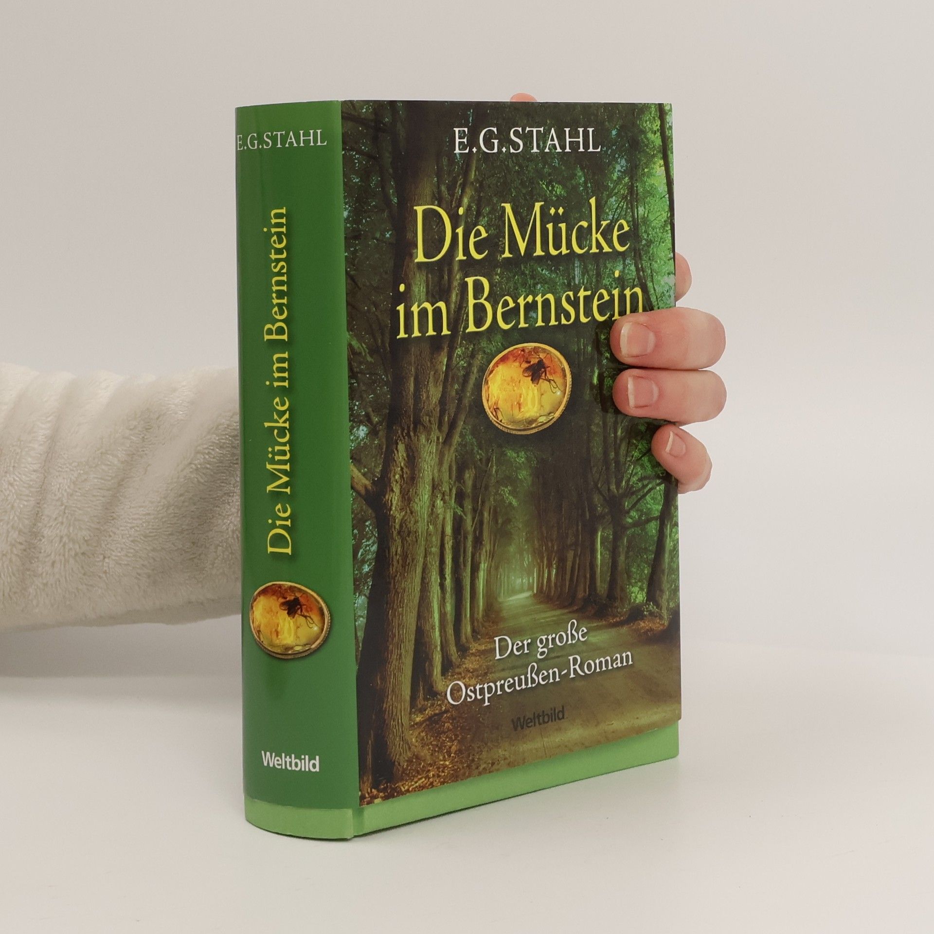 Die Mücke im Bernstein