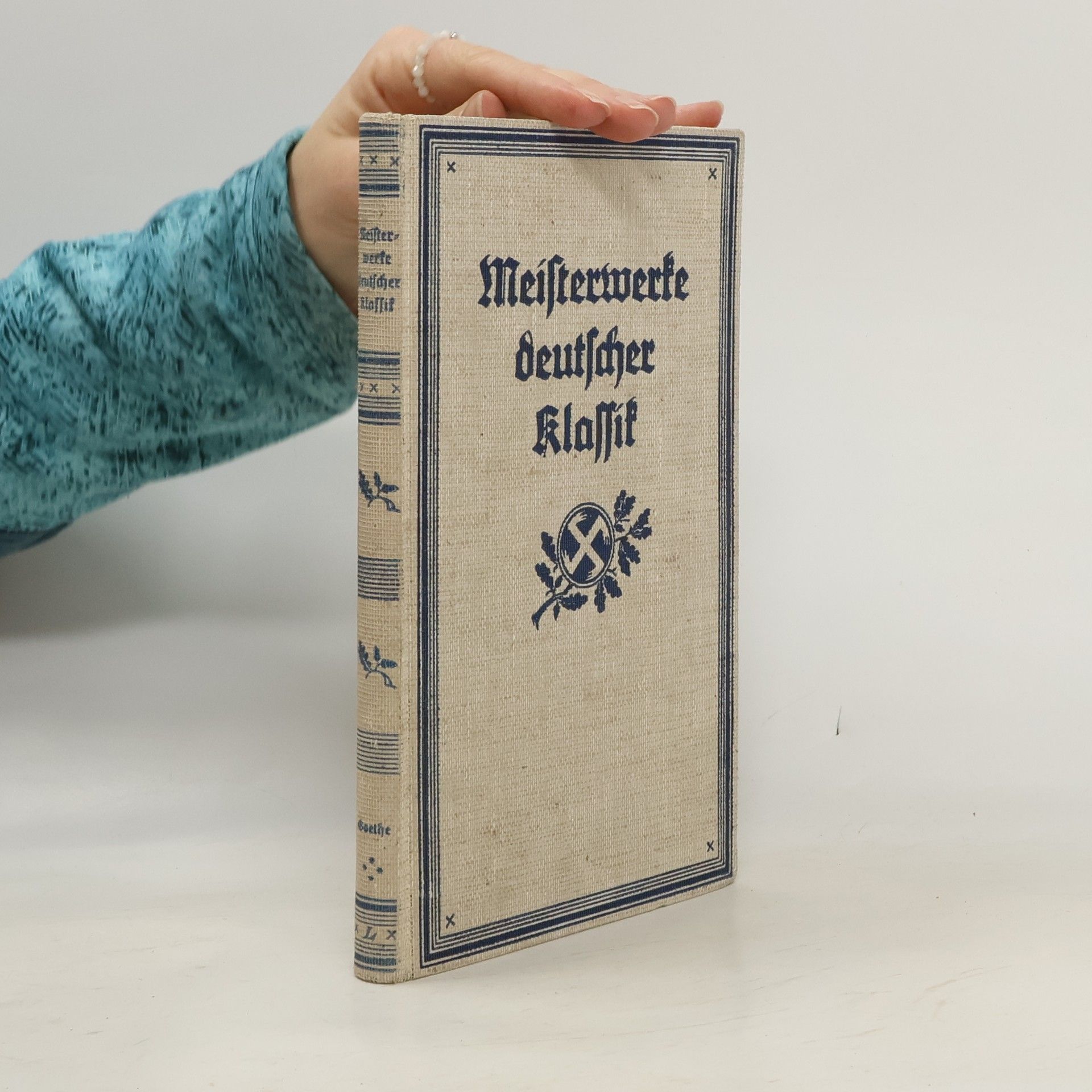 Kolektív autorov Meisterwerke deutscher Klassik VIII.