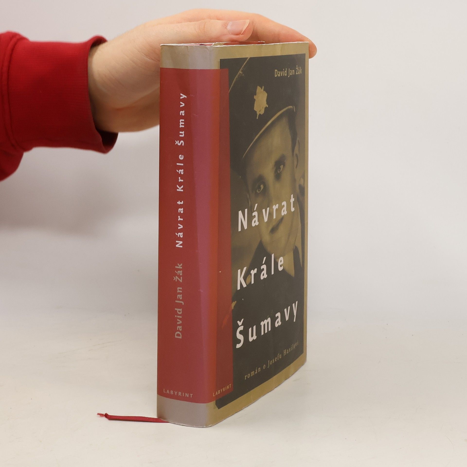 David Jan Žák Návrat Krále Šumavy